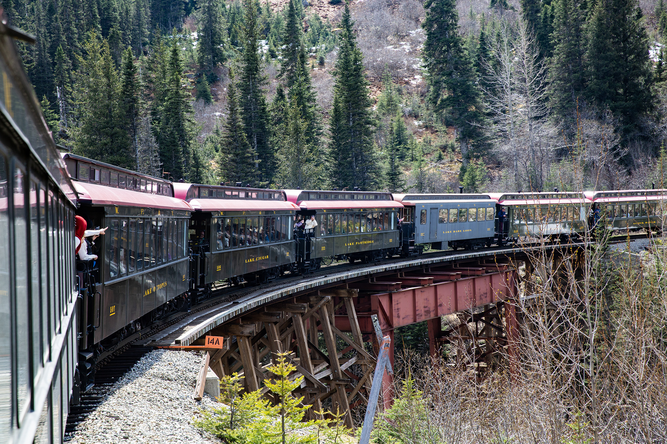 1898年興建的White Pass Railway穿越險峻山勢,列車行經懸崖邊高架橋與隧道之間,不只是景觀之旅,更是一段百年前工程冒險的重現。