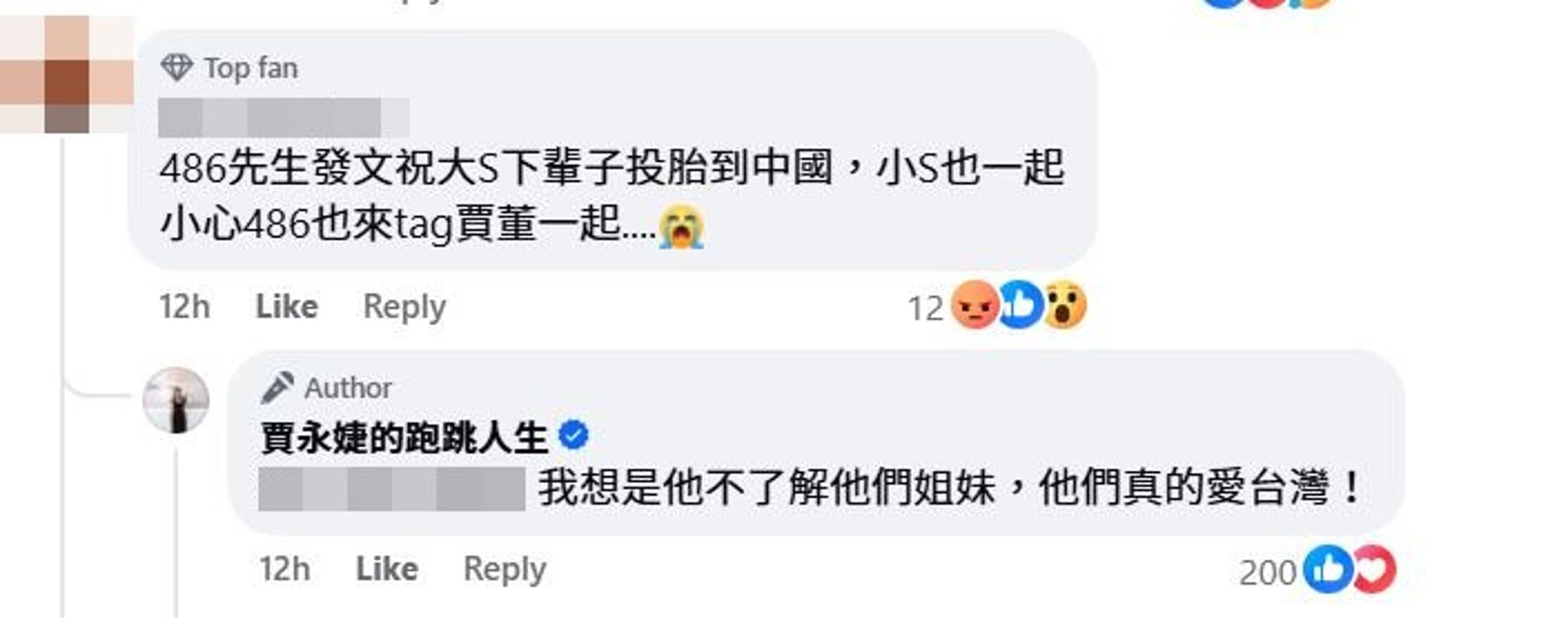 賈永婕稱大小S姊妹都愛台灣。(翻攝賈永婕臉書)