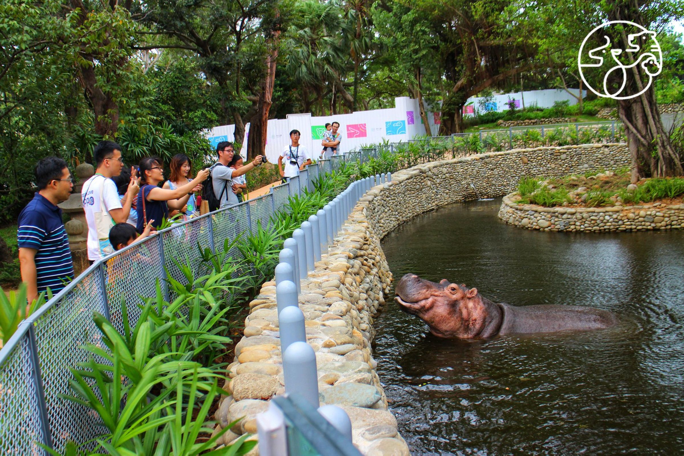 新竹市立動物園內的河馬樂樂深受喜愛，但近日卻傳出有遊客用洋芋片亂餵，園方也做出回應。（翻攝自新竹市立動物園臉書）