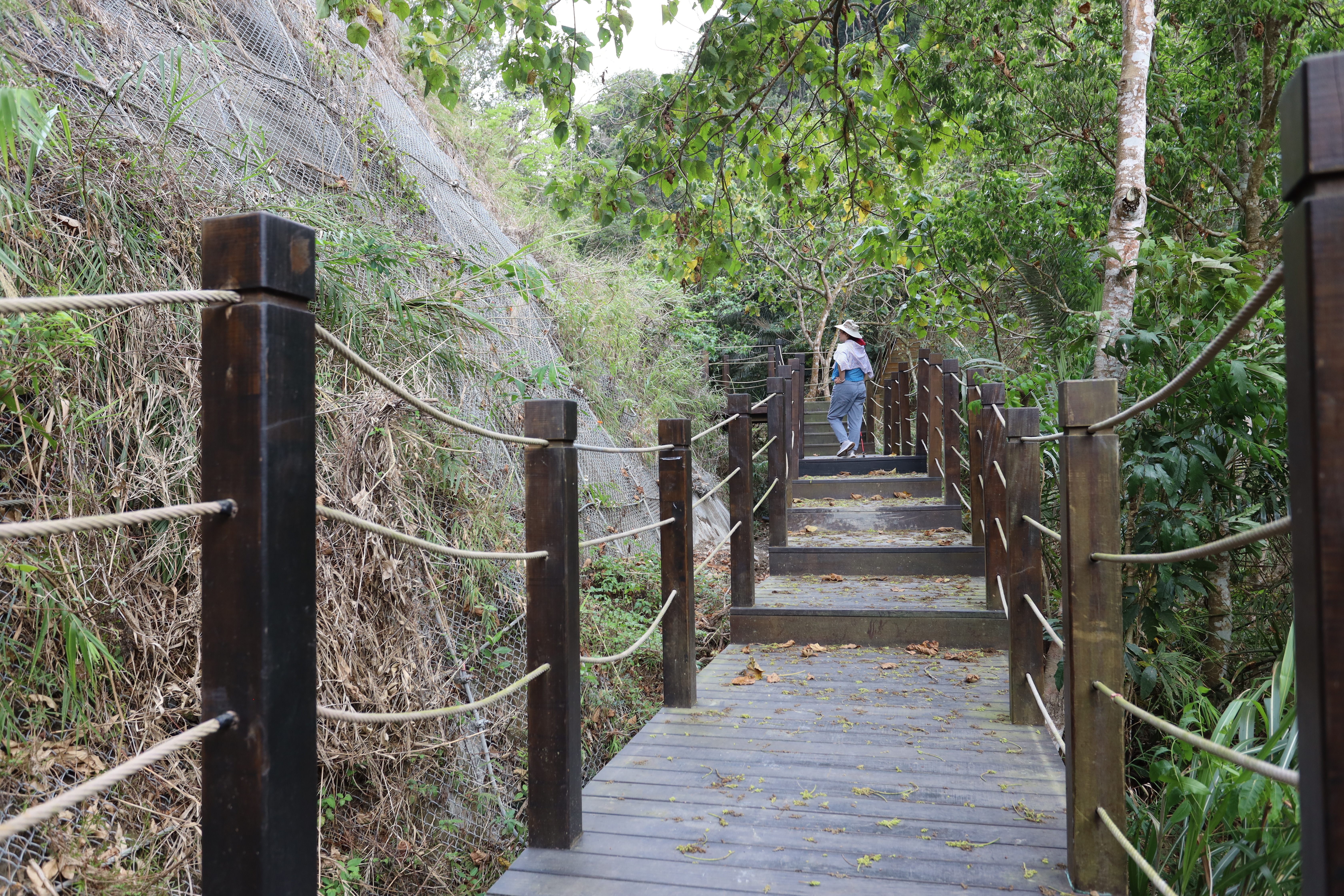 太平區蝙蝠洞登山步道受去年5月山區降下豪大雨影響，導致步道邊坡崩落，損壞既有木棧道等附屬設施，目前步道已修復完工，正式開放使用。（觀旅局提供）