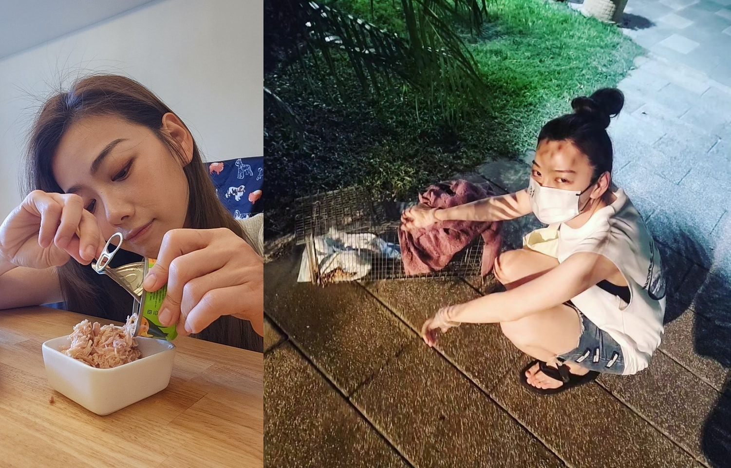 邵庭近期投入誘捕貓咪，及用品試用當中，種種行動是為了想以用賣貓狗用品的同時，也有收入幫助流浪貓狗。（翻攝自邵庭臉書）