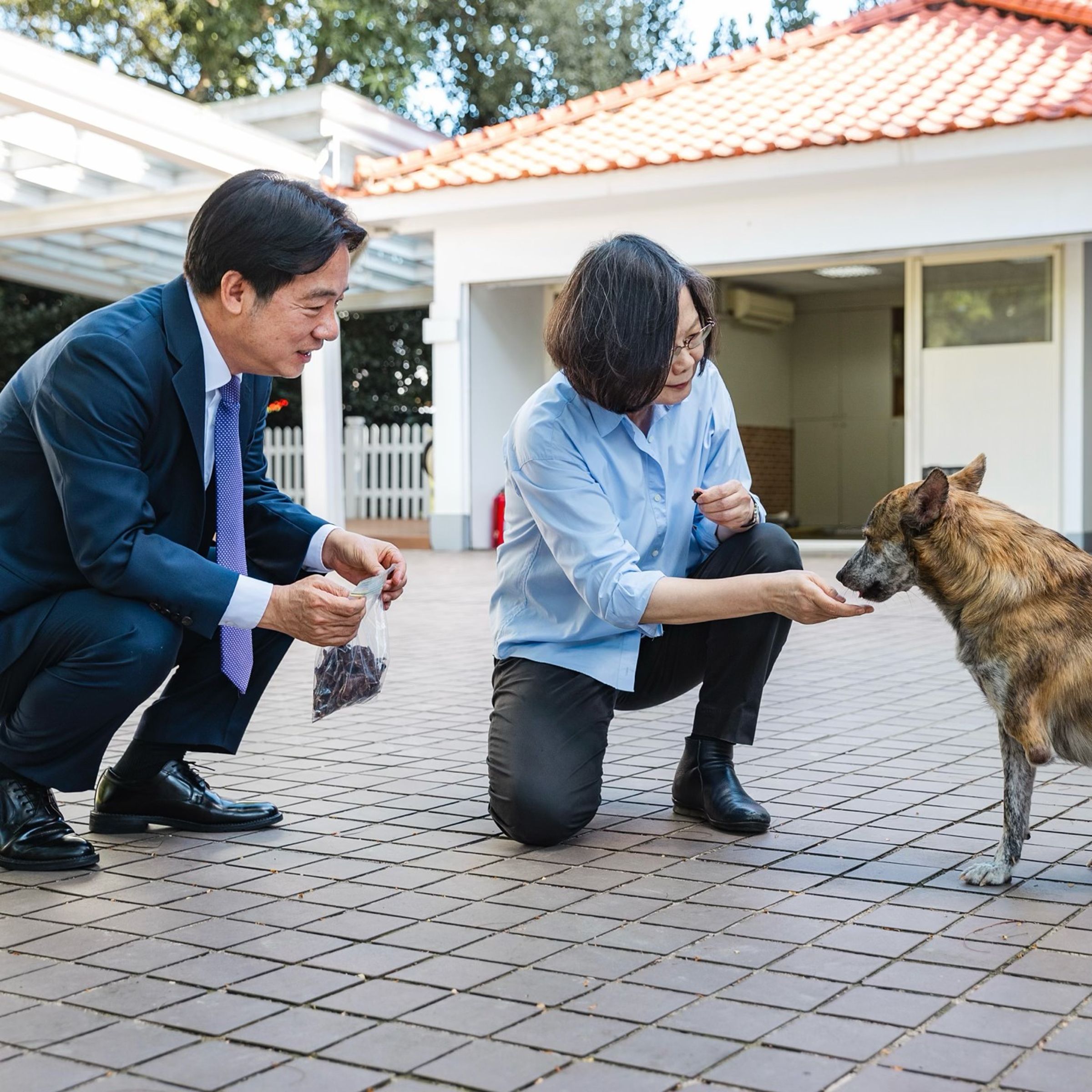 蔡英文2024年曾帶自製的牛肉乾去找賴清德愛犬斑斑(圖)、Murphy。(翻攝蔡英文Threads)