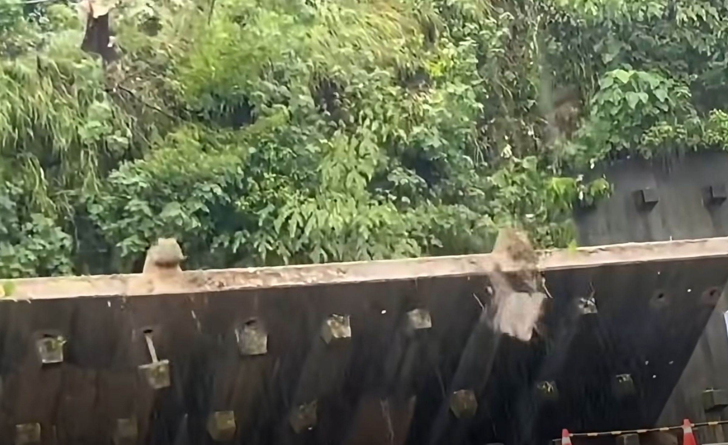 高雄小港松富街擋土牆崩落,畫面曝光相當驚人。(翻攝自陳麗娜臉書)