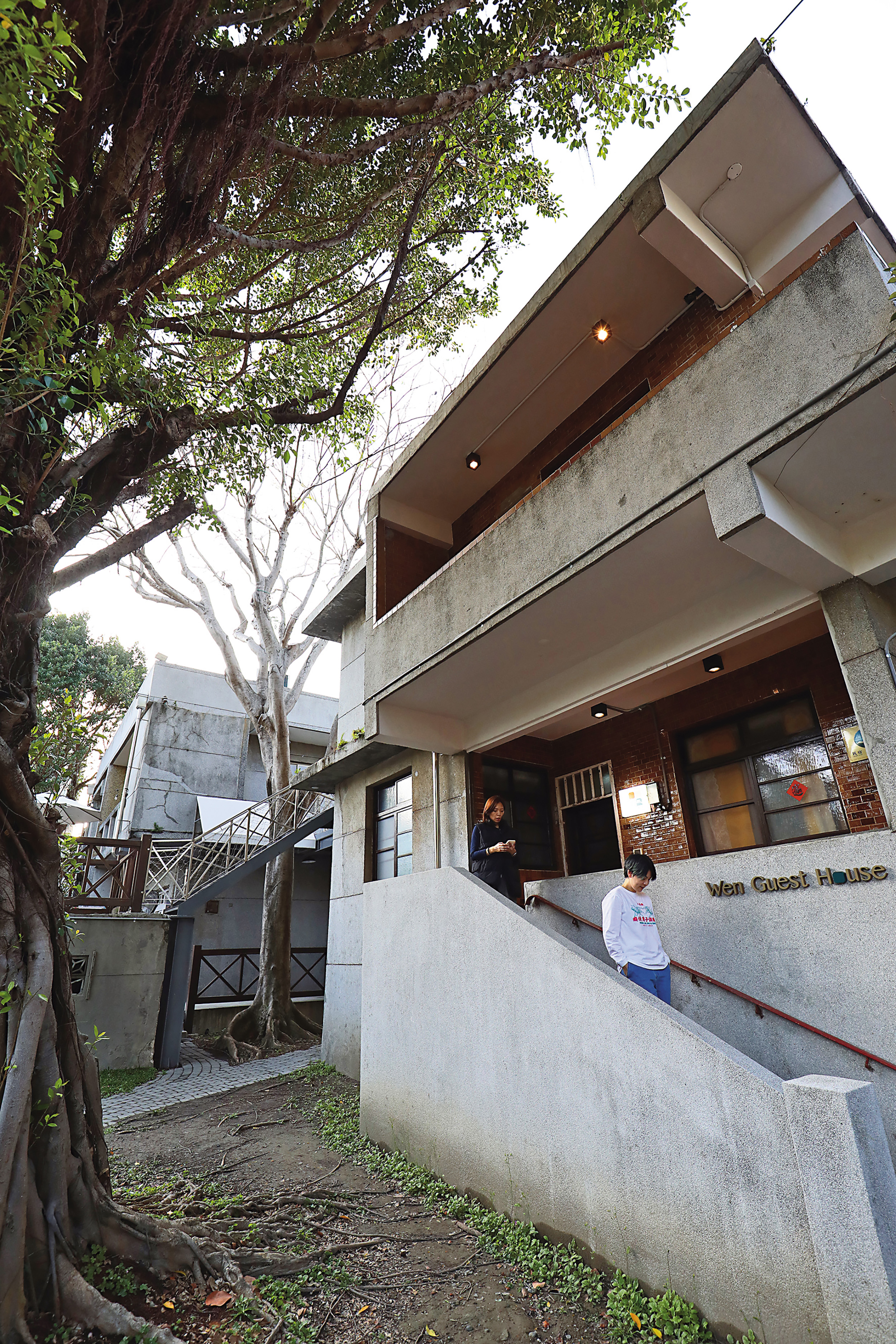 民宿「文坊」的建築物位於園區內的大樹後方。