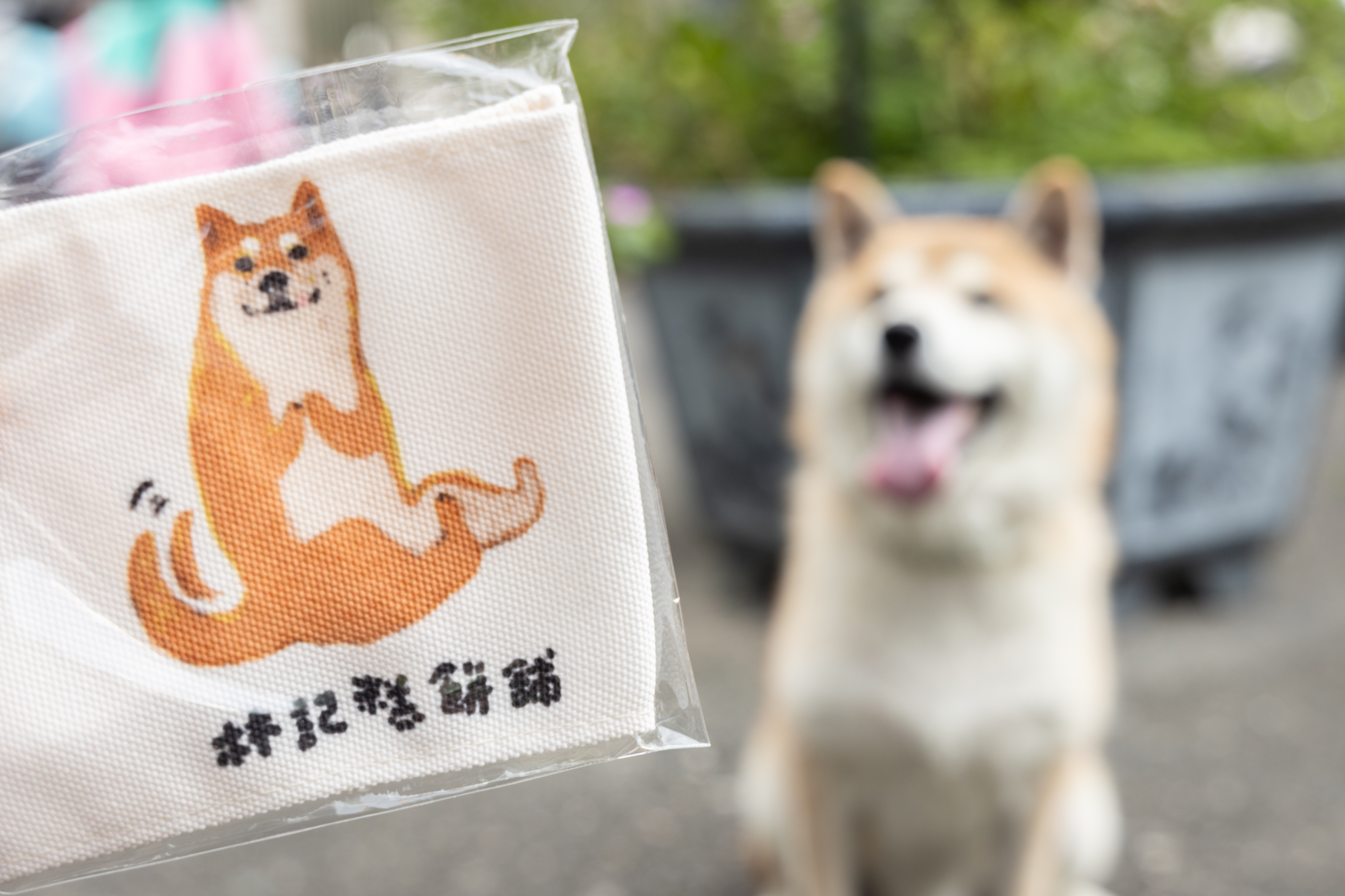林記還有位人氣店長仔仔，仔仔甚至有自己的可愛周邊。