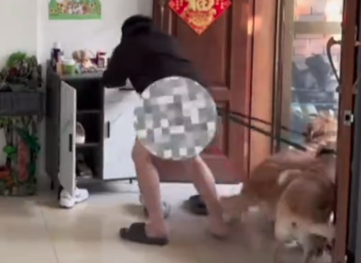 廣東一名男子的狗太期待出門散步，衝出門之際順勢把他的褲子扯下。（翻攝自微博）