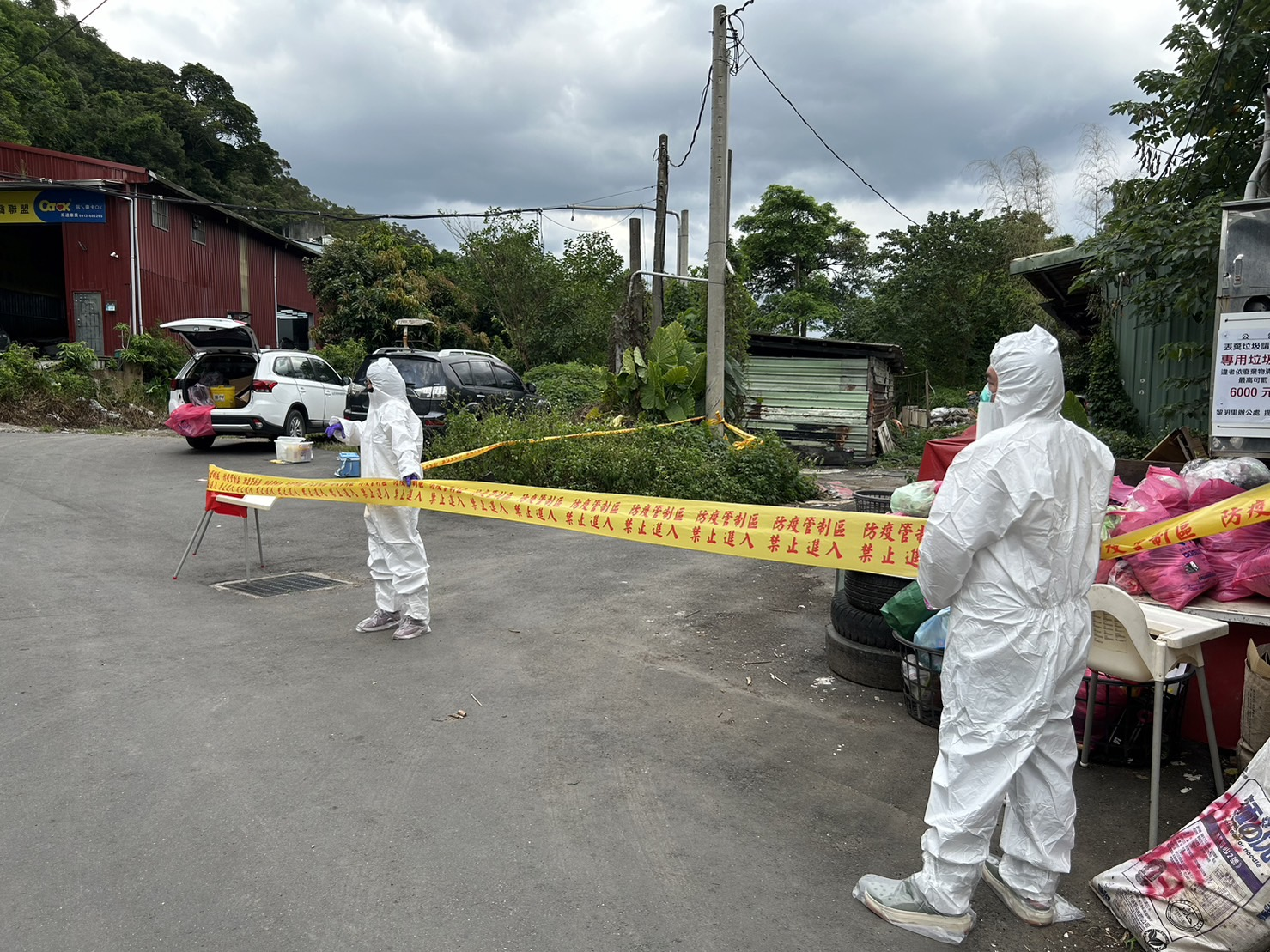 泰山區泰林路3段330巷雨水下水道出現豬屍,拉起防疫封鎖線。(新北動保處提供)