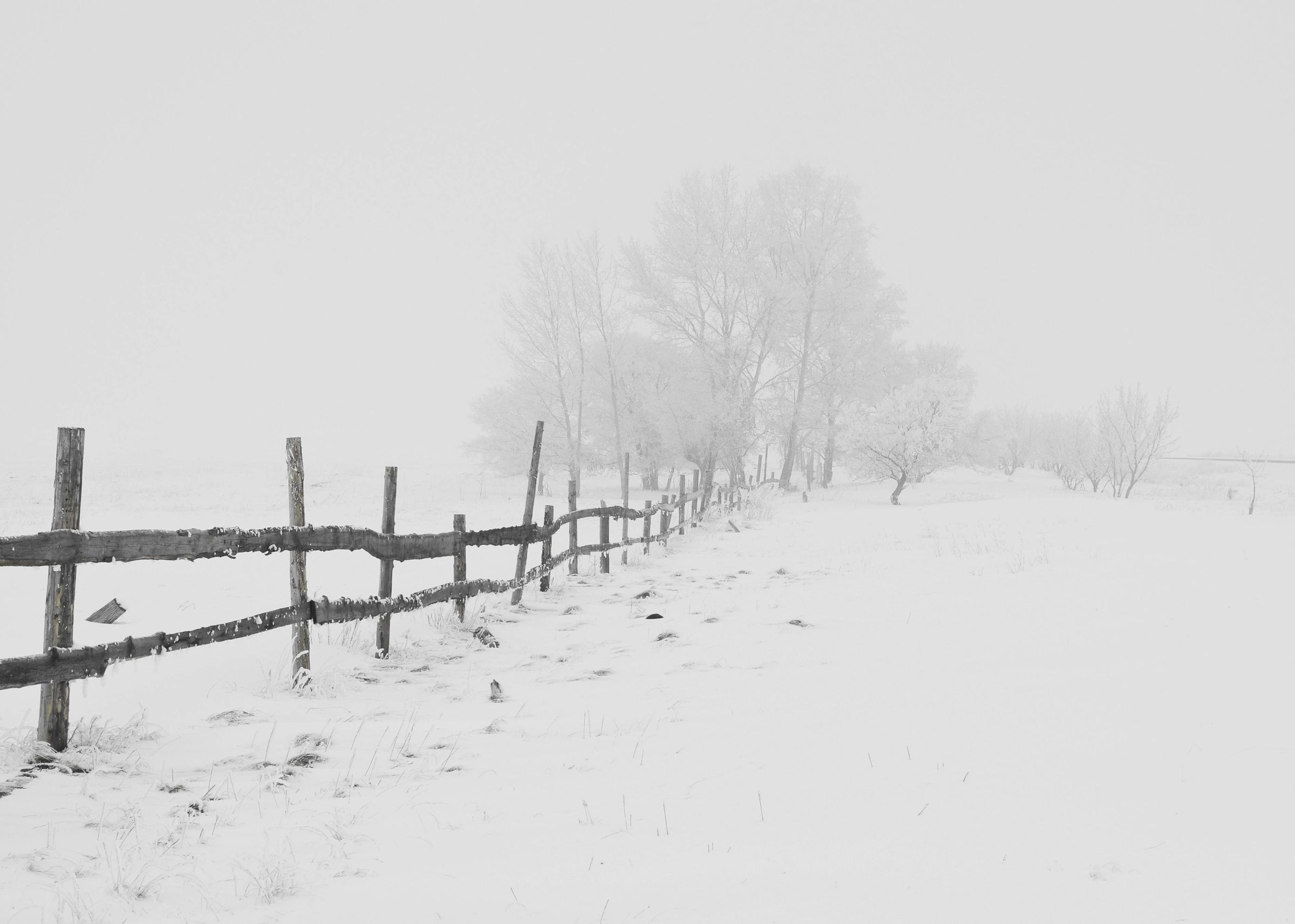 全台急凍,陽明山有望降雪。(示意圖,取自Pexels)