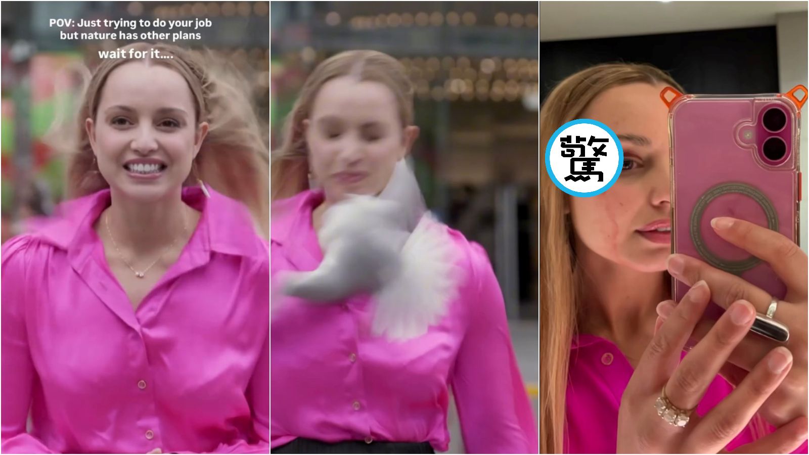 有片/白鳥突衝來!美女記者臉遭重擊濺血「痛到飆粗口」 驚險瞬間曝