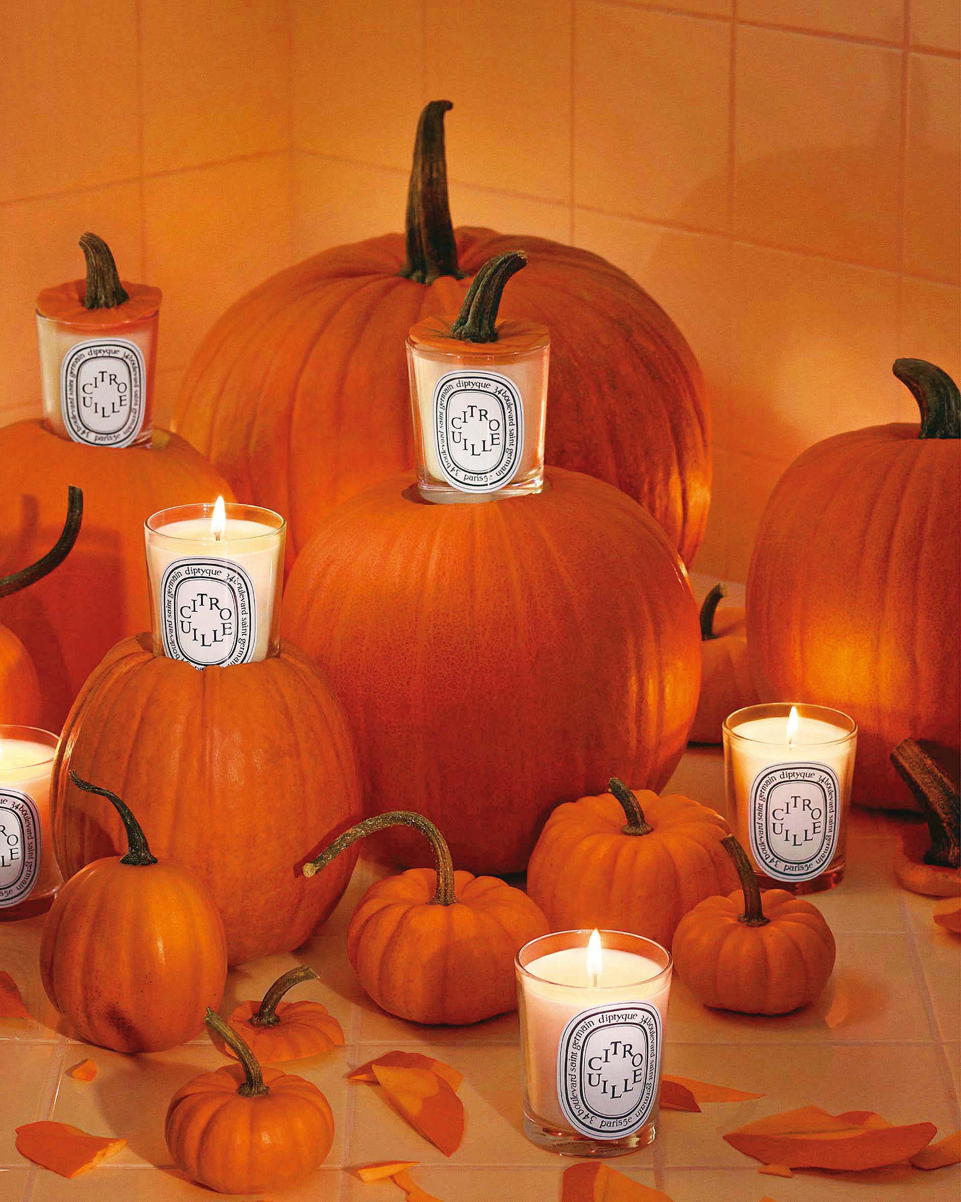Diptyque限量南瓜香氛蠟燭 NT$2,300/190g。(10/10 APOTHECARY提供)