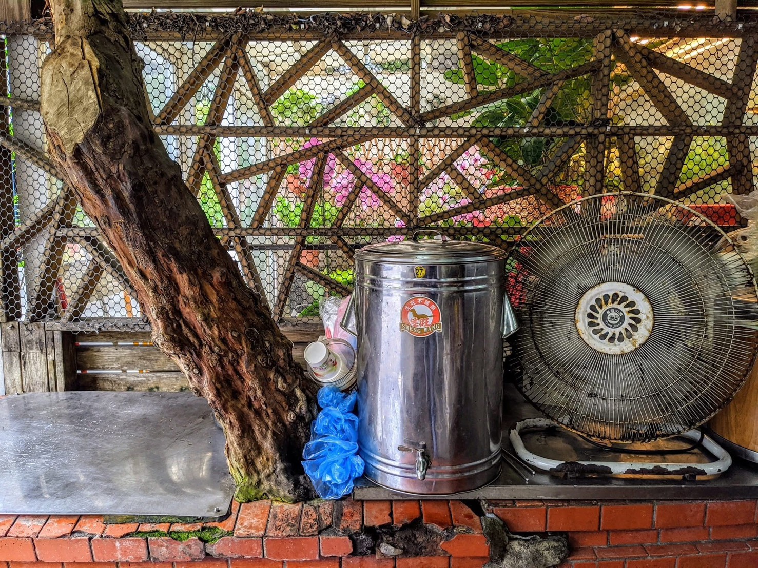 昔日,林進泰每天會煮上一大桶冰紅茶,就放在門口大樹下,讓客人隨便喝。(林進泰提供)