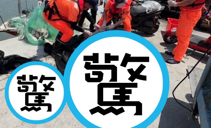嘉義東石漁民在前天作業時,意外在網中發現一隻重達200公斤的巨獸,經鑑定為極度瀕危的第一級保育類動物「革龜」。(翻攝畫面)
