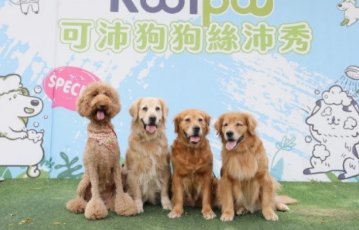台灣寵物消費市場逐年攀高，以畜禽魚經濟動物為主力的永鴻，更創立一個寵物藥新品牌可沛，讓寵藥成長動能的火車頭之一。（永鴻國際生技提供）