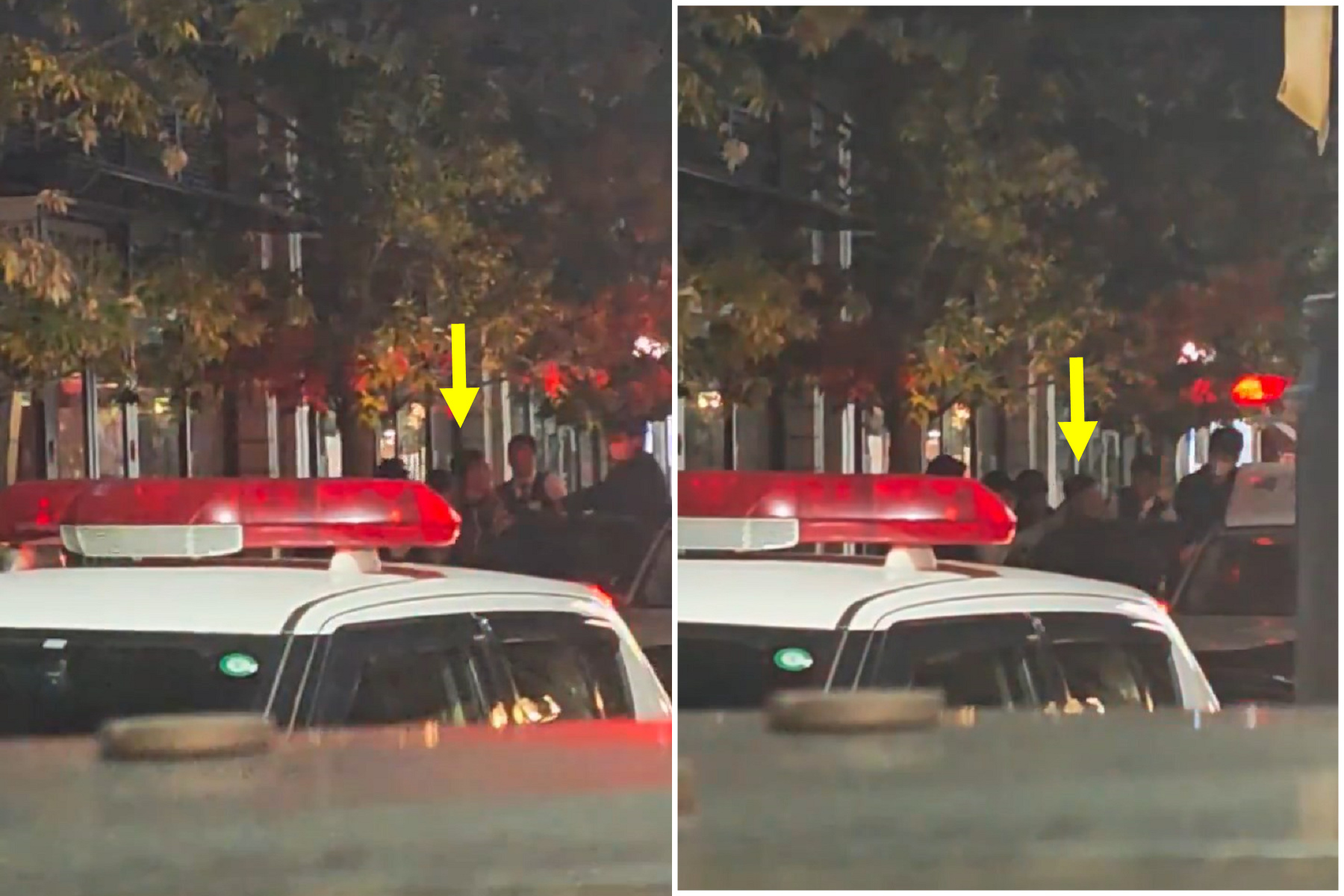 中國男遭日警逮捕，瘋狂嘶吼「CHINA柴那那」！奇葩行為引熱議。（翻自X平台）