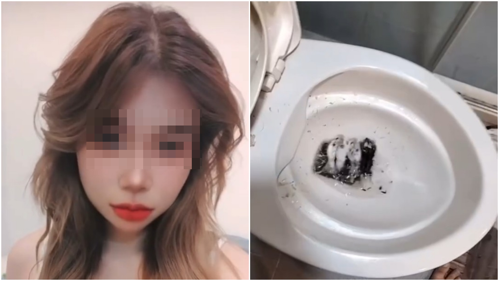 泰女Promin將倉鼠丟入馬桶內沖掉，手段凶殘。（翻攝Threads）