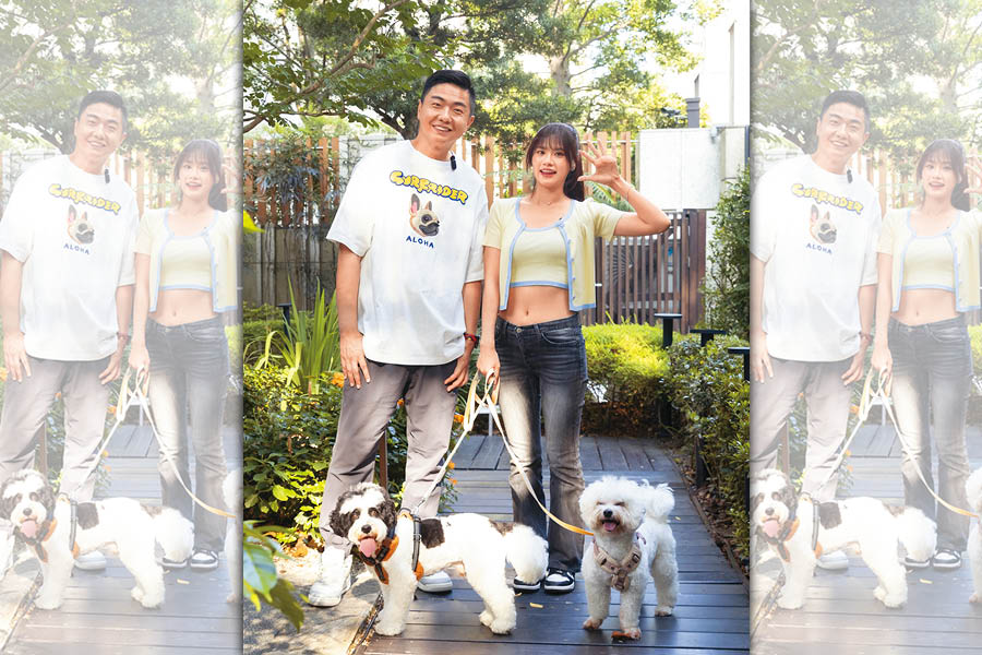 熊爸估狗/兩隻比熊犬不對盤 沁沁破解人狗焦慮根源