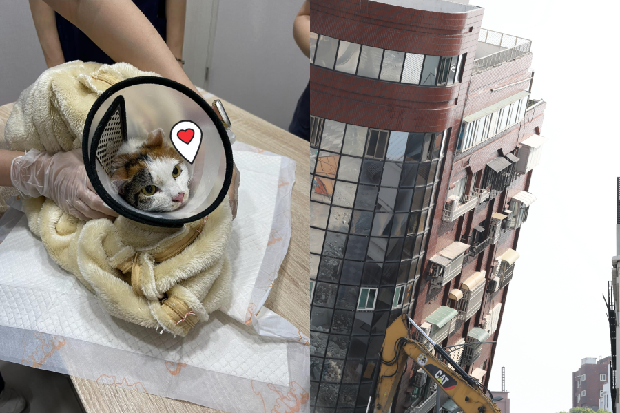 天王星拆除工程再傳好消息，又有一隻貓咪「花花」獲救。（左圖翻攝自小咖飛臉書）