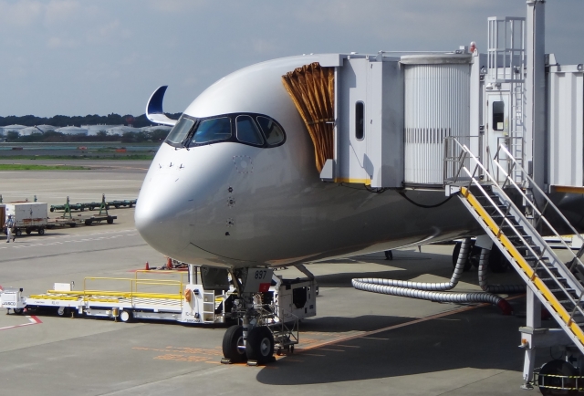 有網友發現，明年1月飛往日本東京的機票價格「漲了2倍」，堪稱比過年還貴。（翻攝自photoAC）