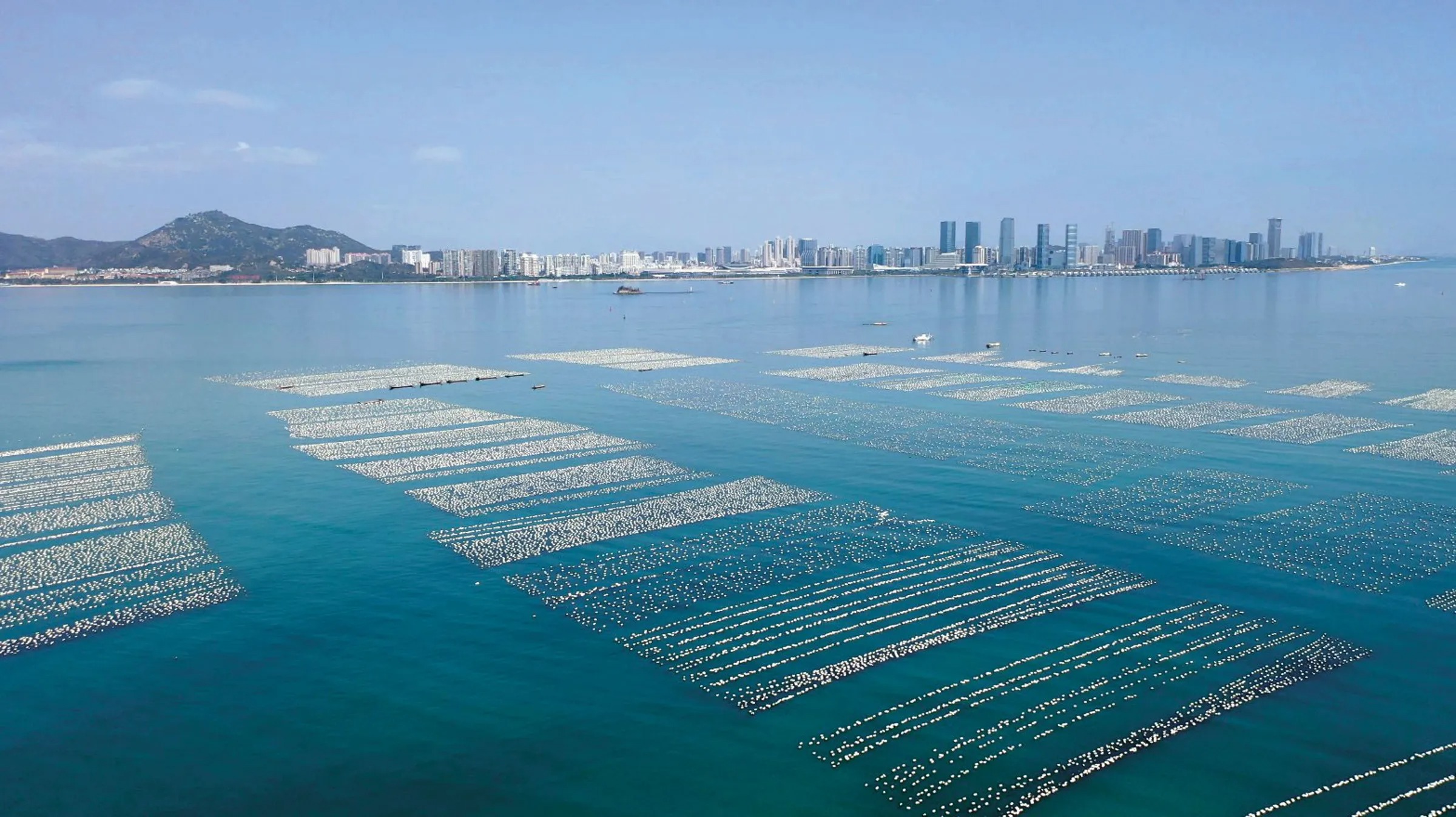 金門當地稱為「珍珠海」的蚵棚，不僅牽涉國安議題，也有環保疑慮。（洪清漳提供）