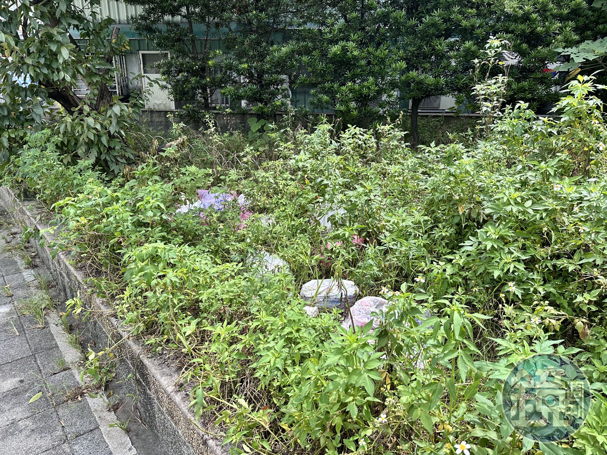 台北市萬華公一簡易公園遭棄置垃圾。