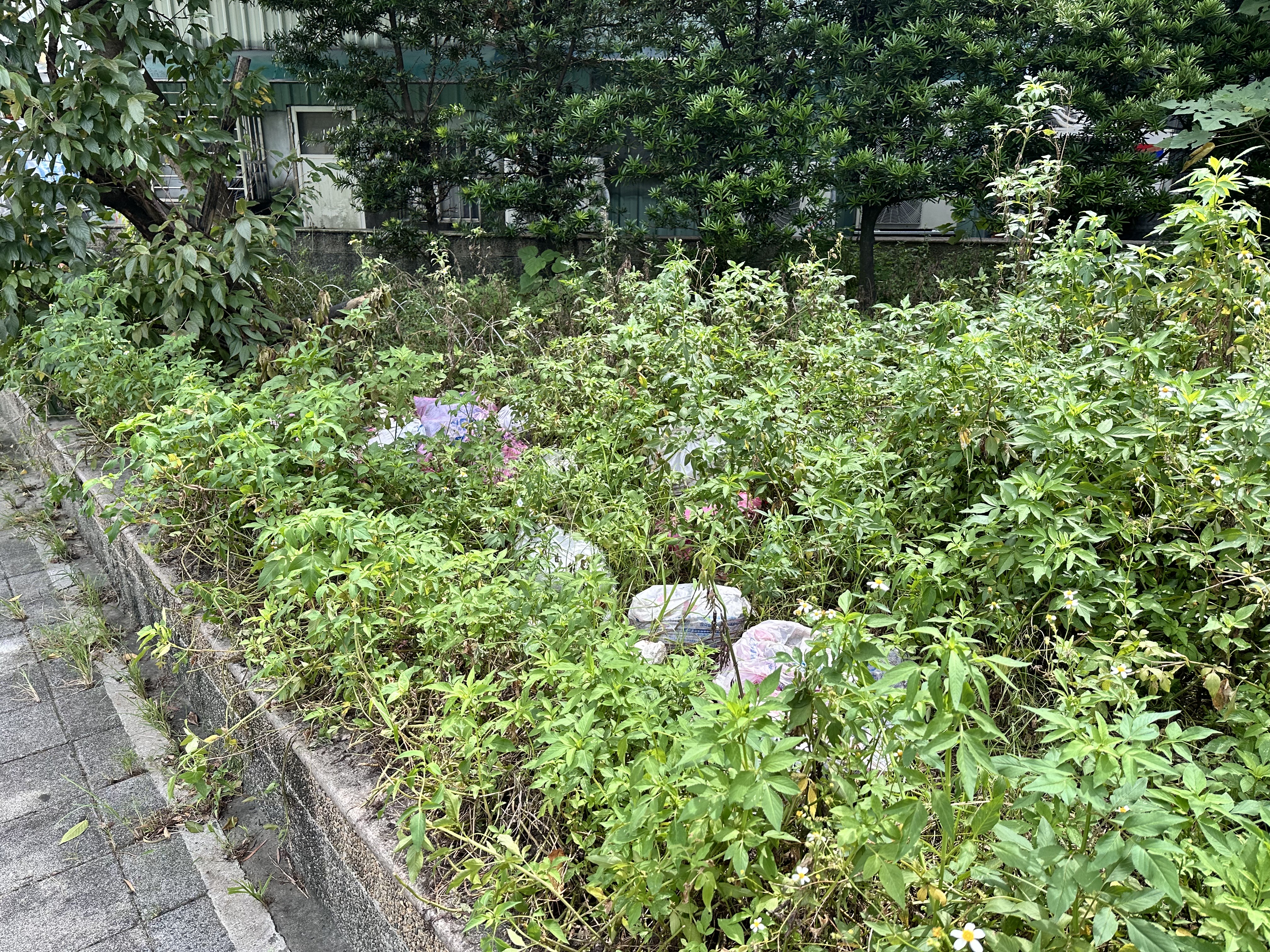 台北市萬華公一簡易公園遭棄置垃圾。