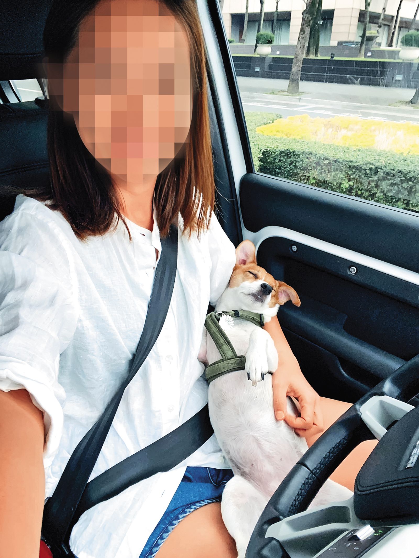 黃柏漙的女兒身為網紅,不但經營「波波的餐桌日常」粉專,也是知名寵物餐廳「波宅」的主理人。(翻攝自波波的餐桌日常臉書)