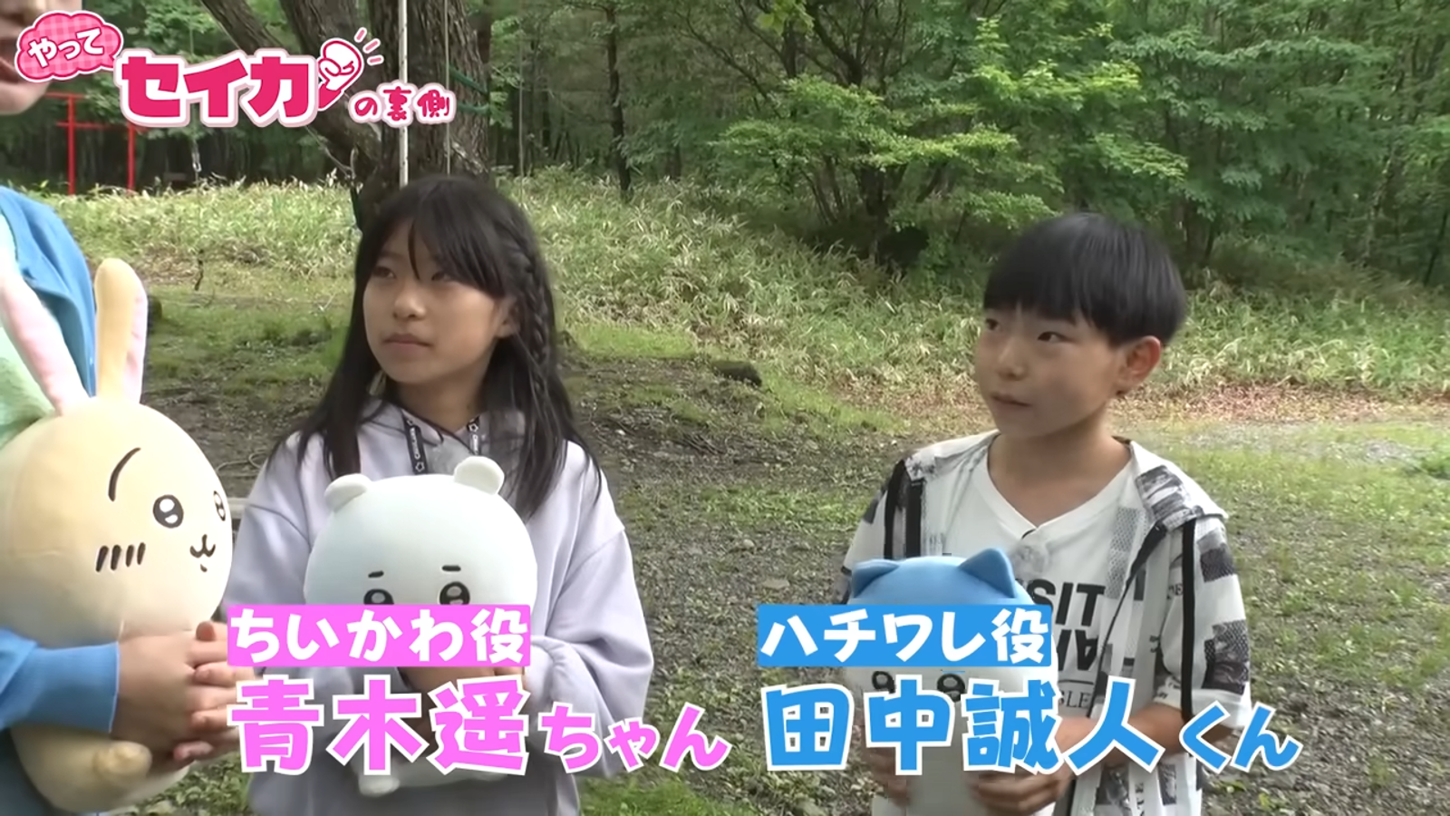 吉伊卡哇的聲優青木遙和小八的聲優田中誠人即將進入青春期，聲音也出現變化。（翻攝自YouTube  めざましテレビチャンネル）