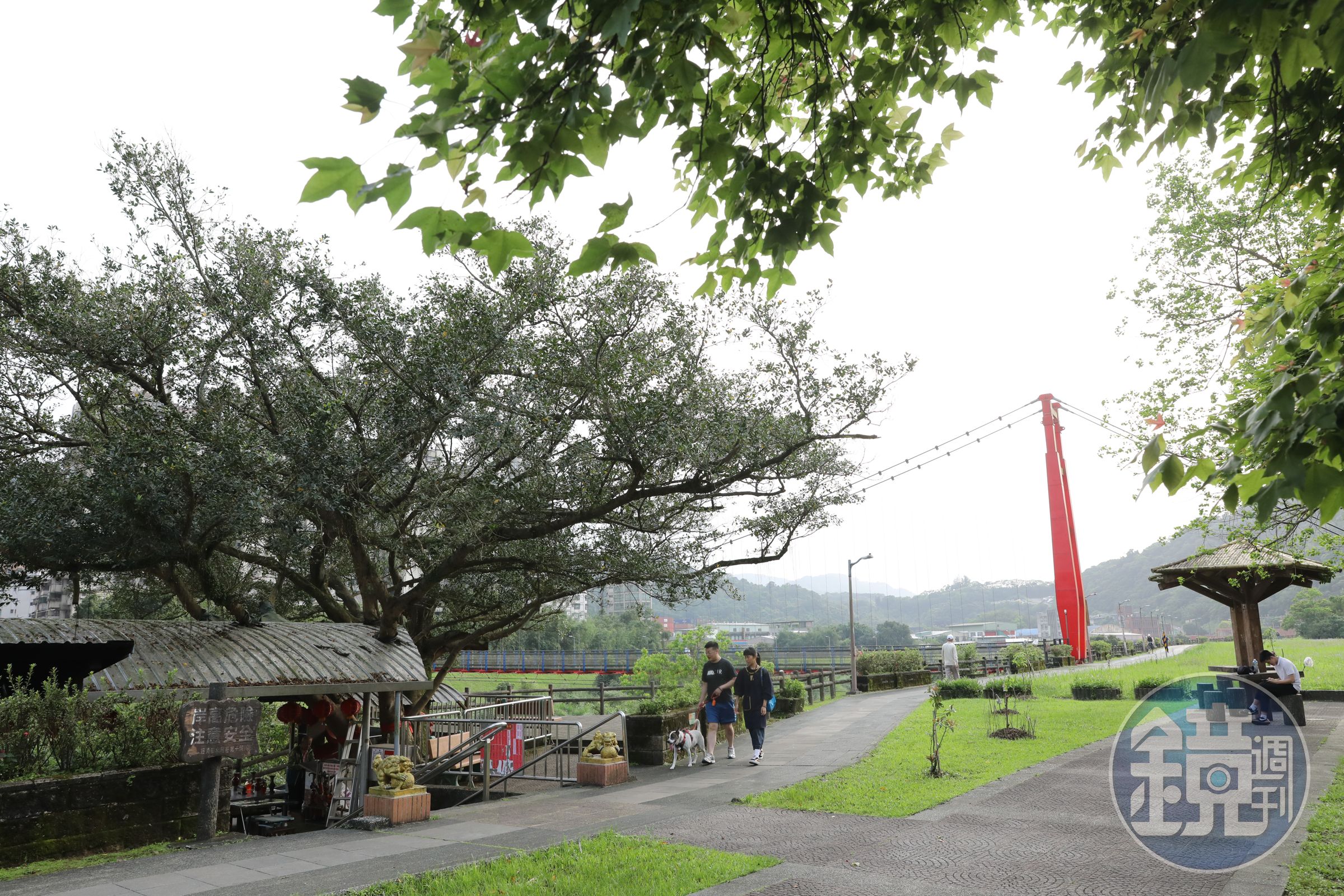 碇內吊橋連接基隆河兩岸,是居民日常散步與通行的路徑。