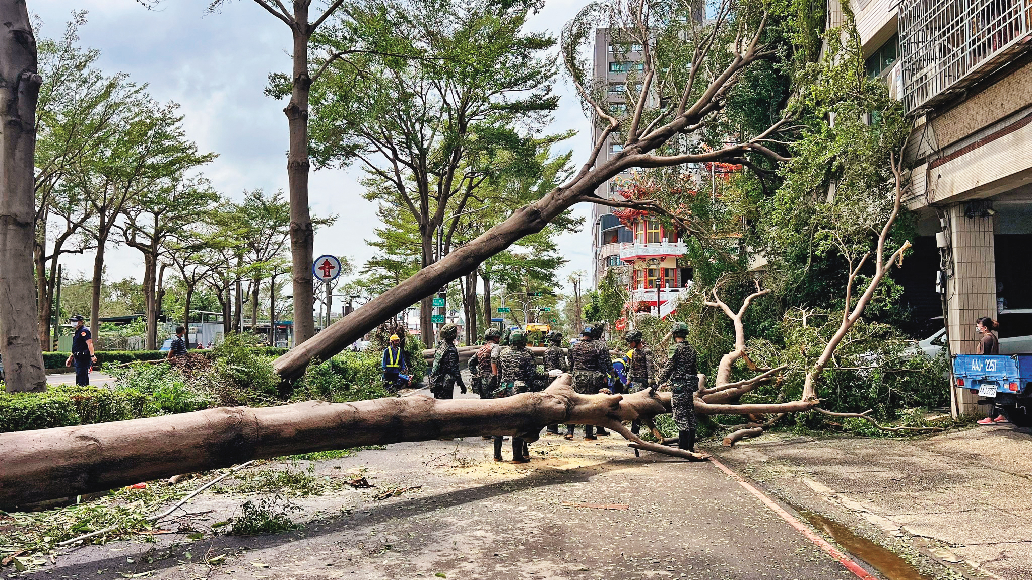 山陀兒風力強勁，高雄路邊巨樹也被連根拔起。（翻攝陳其邁臉書）