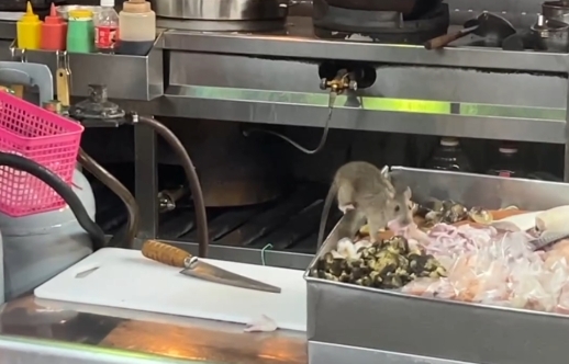 女網友錄下光華夜市廚房裡竄出的巨鼠，影片引起討論。（翻攝自Threads）
