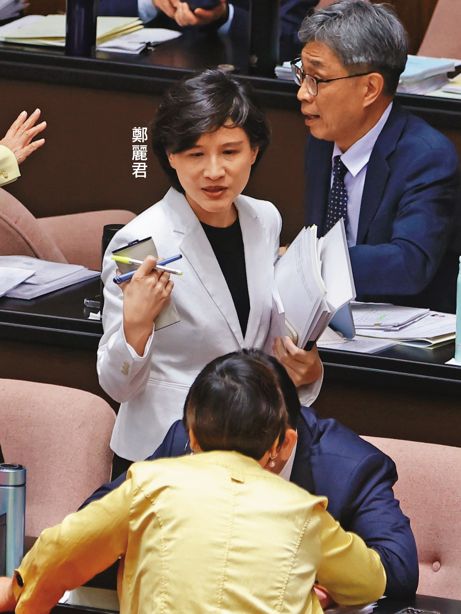 鄭麗君目前代表行政院參加中常會、黨團大會、黨政幕僚會議等，是政院與黨團、黨部橫向聯繫的窗口。