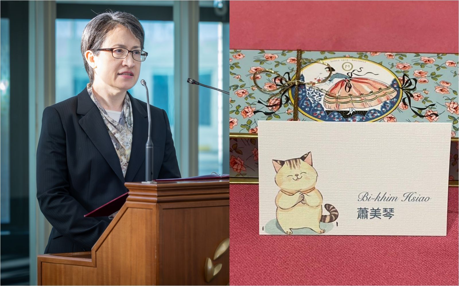 助台灣加入IPAC! 白委陳昭姿曬蕭美琴「親筆感謝信」:不分黨派幫台灣交朋友