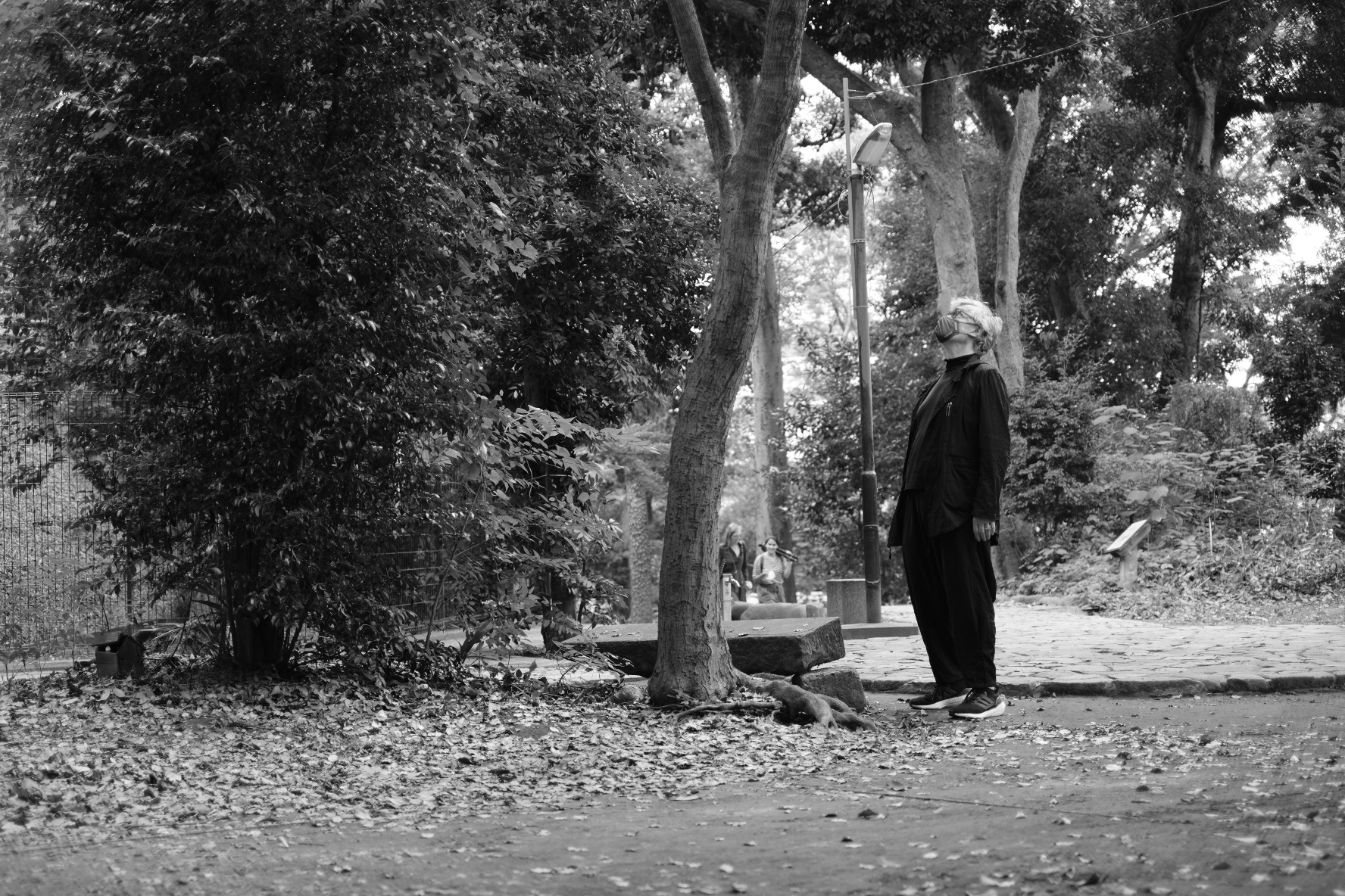 文溫德斯勘景期間看到樹木都會停下腳步觀察，也在高崎卓馬的介紹下認識了日文字「木漏日」。（甲上娛樂提供）