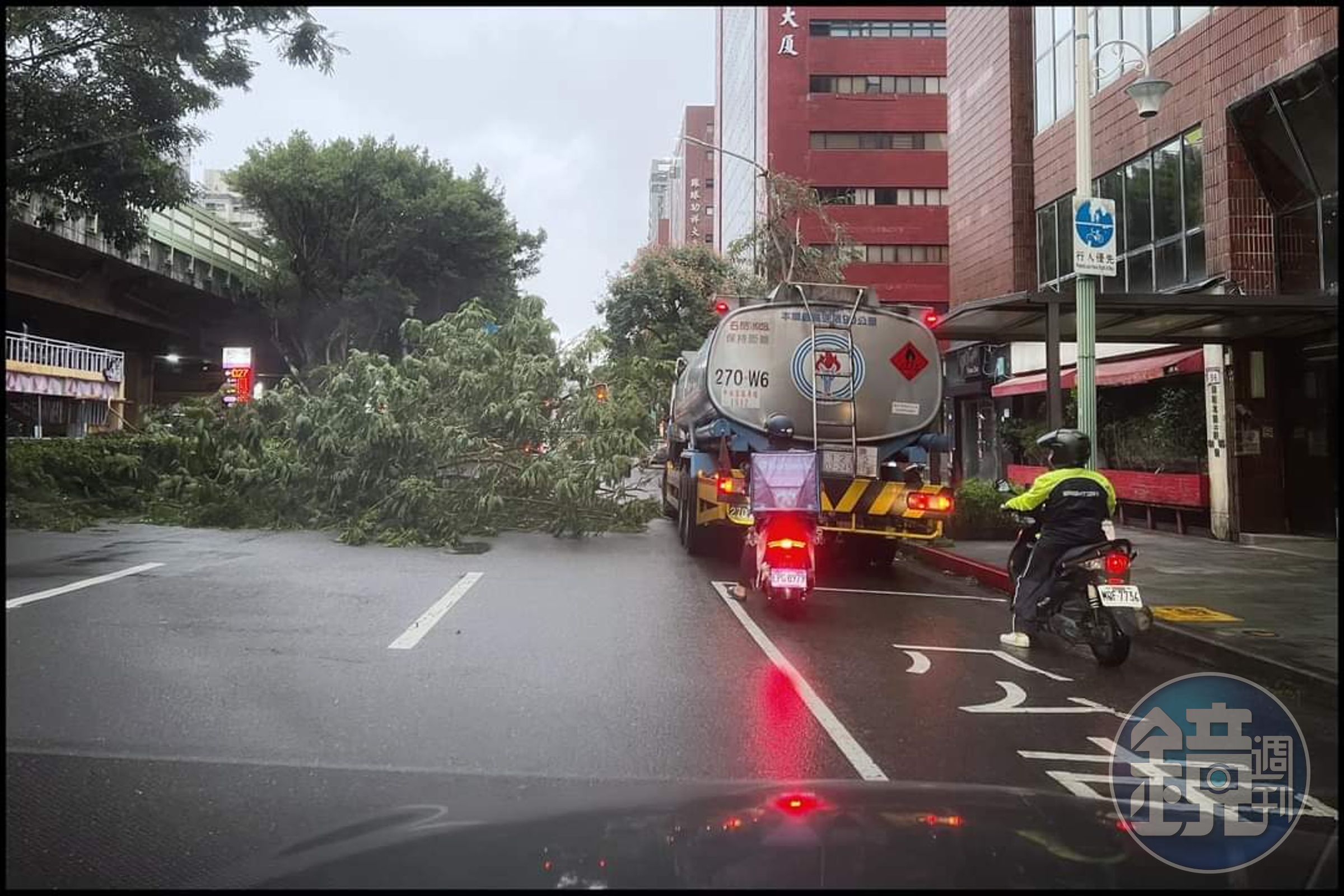 康芮帶來強勢風雨,台北市發生許多路樹倒塌事故。