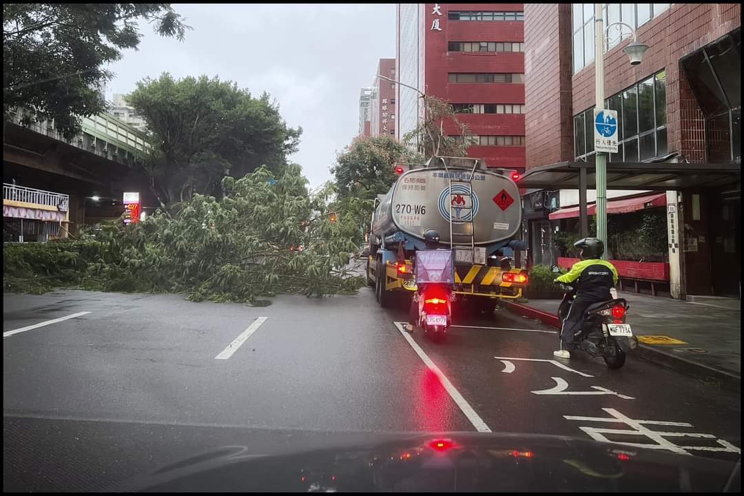 康芮帶來強勢風雨，台北市發生許多路樹倒塌事故。
