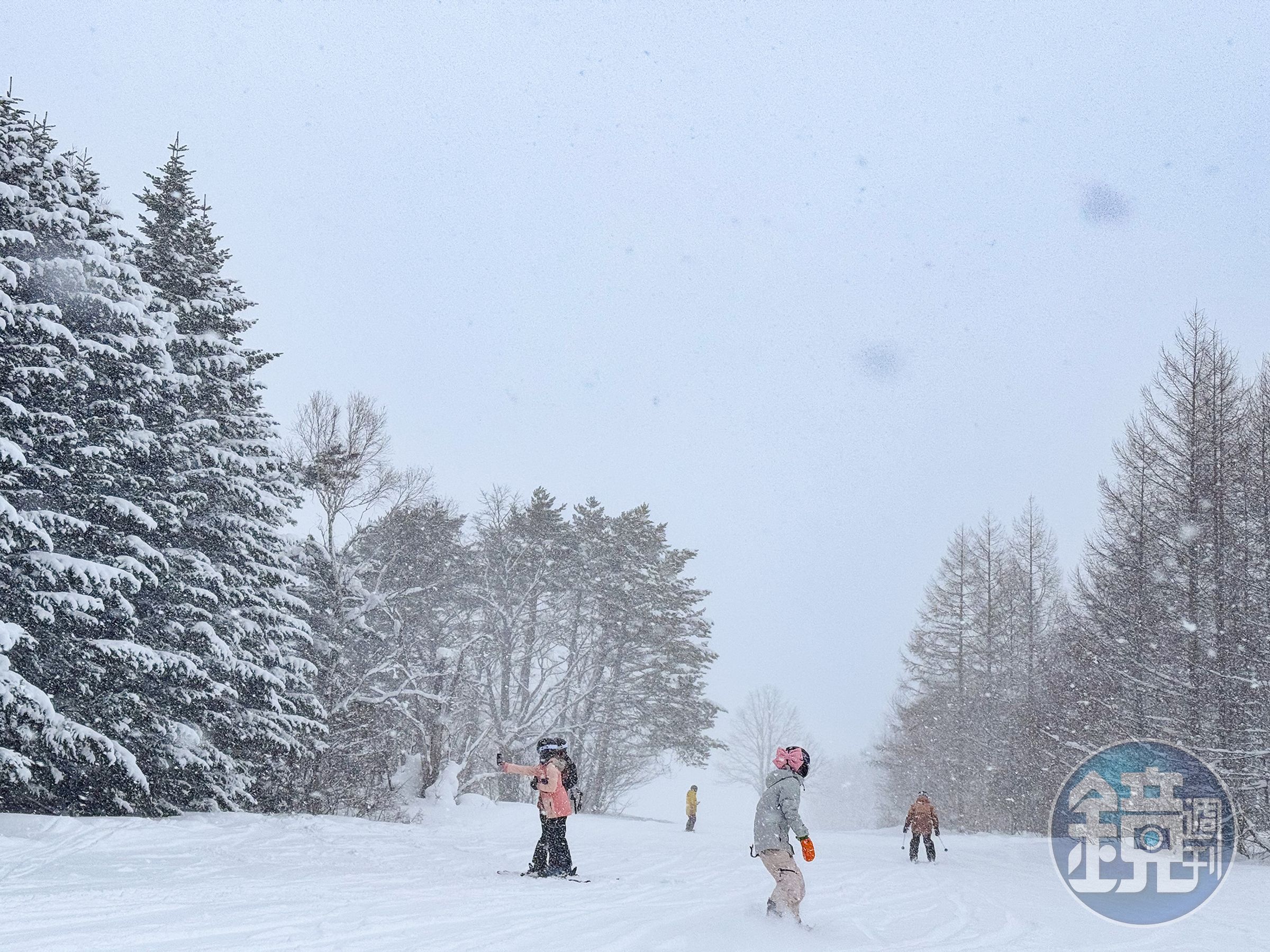 安比高原雪量充足，今年1月中旬的積雪厚度已達170公分。