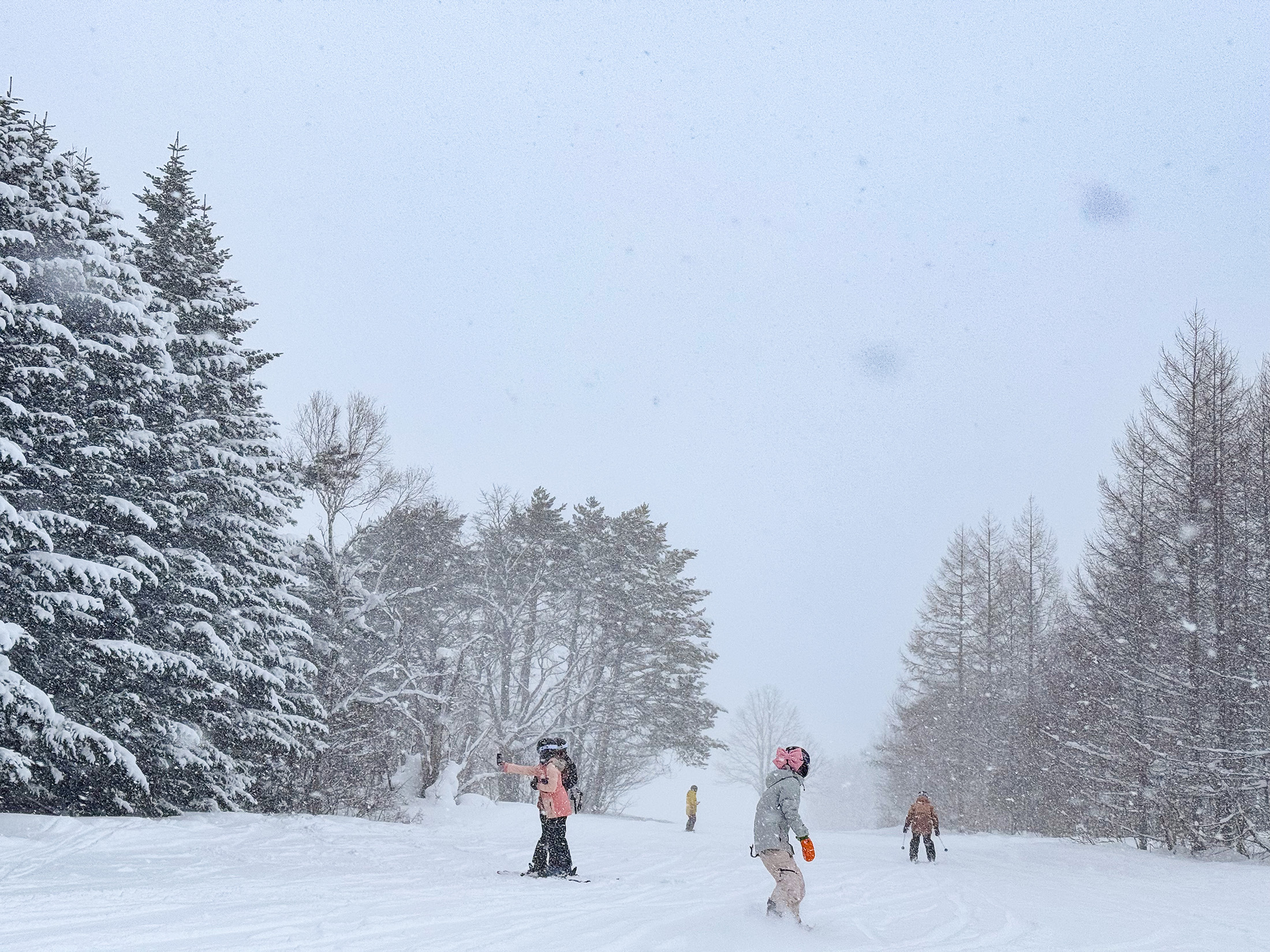 安比高原雪量充足,今年1月中旬的積雪厚度已達170公分。