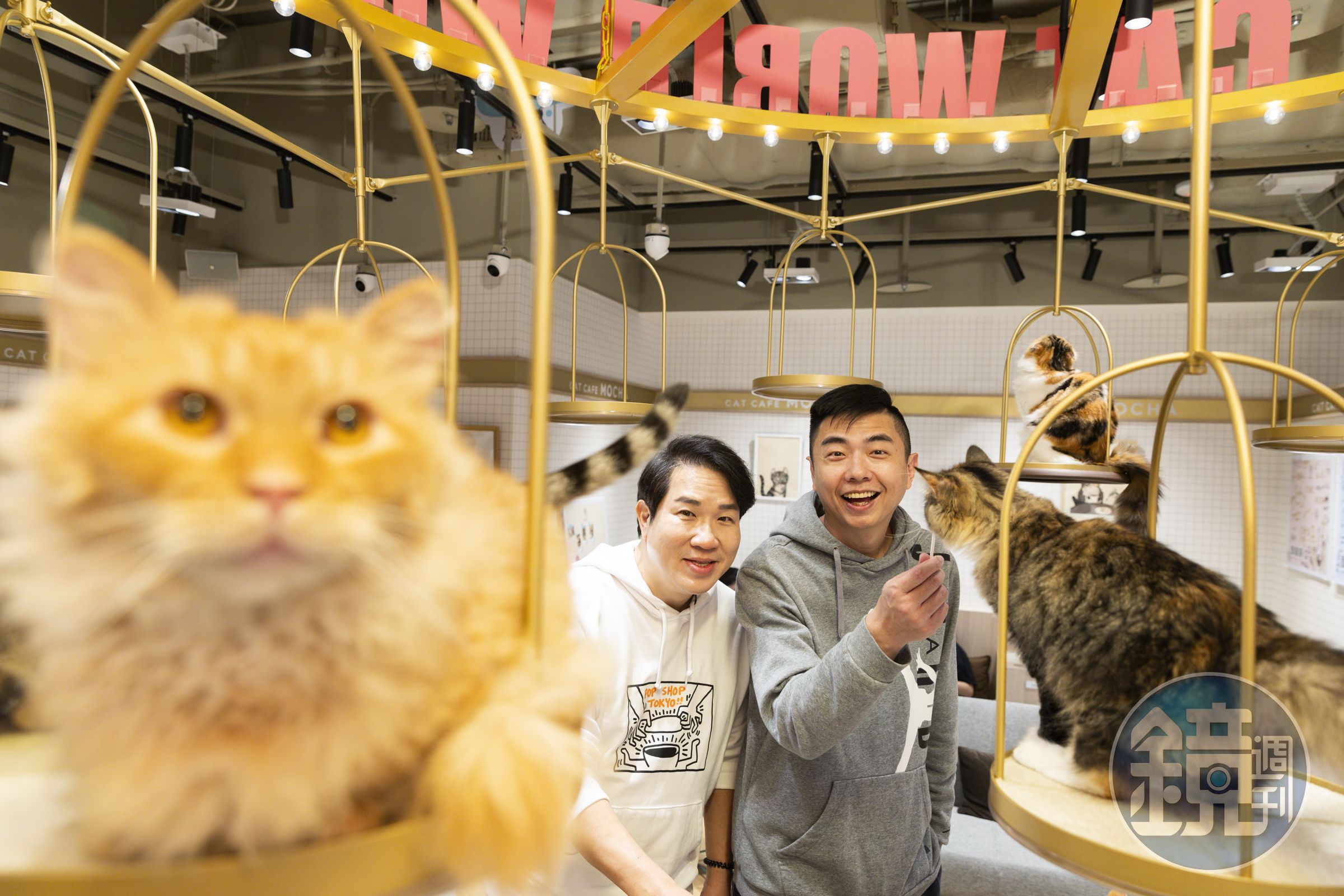 來到劉爾金(左)貓咖啡廳「Cat Café MOCHA」,「我通常都是去狗Café的。」熊爸(右)說。