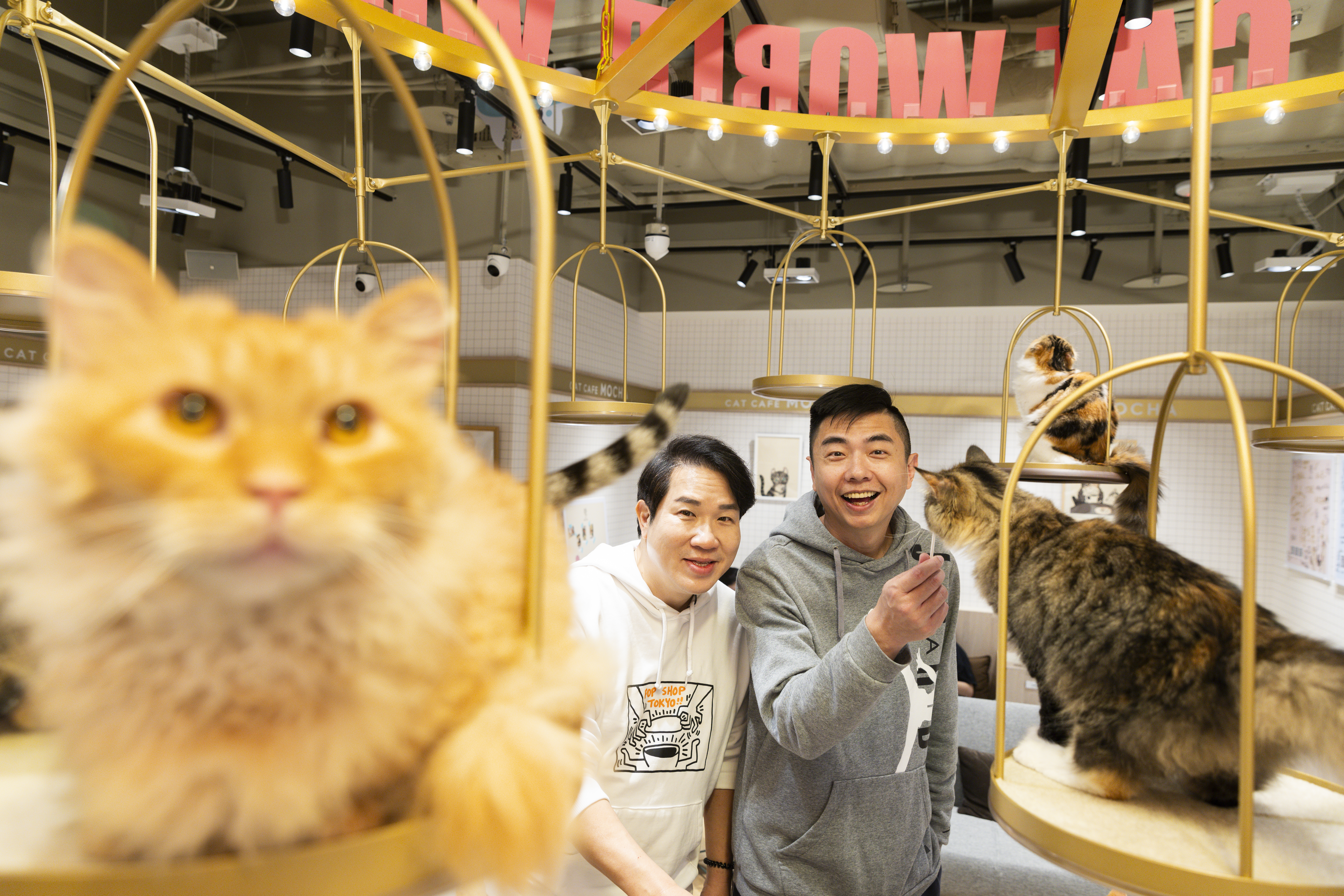來到劉爾金（左）貓咖啡廳「Cat Café MOCHA」，「我通常都是去狗Café的。」熊爸（右）說。