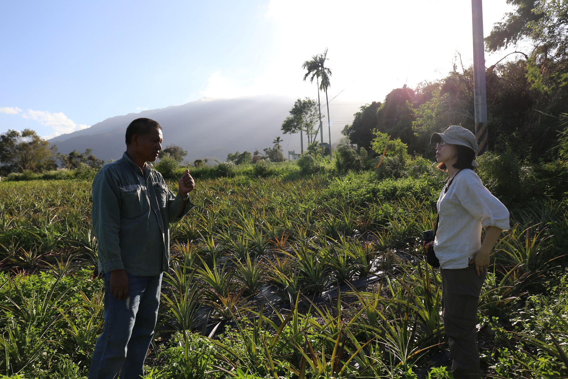 金欣儀拜訪台東縣延平鄉布農族「勇士鳳梨」農友。（圖片提供／金欣儀）