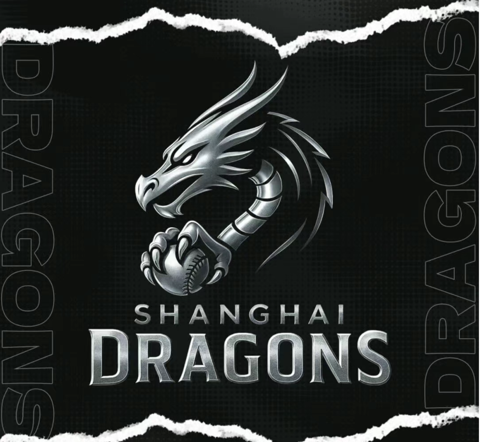 上海正大龍以上海為基地，球隊基調為黑色。（翻攝自網路）