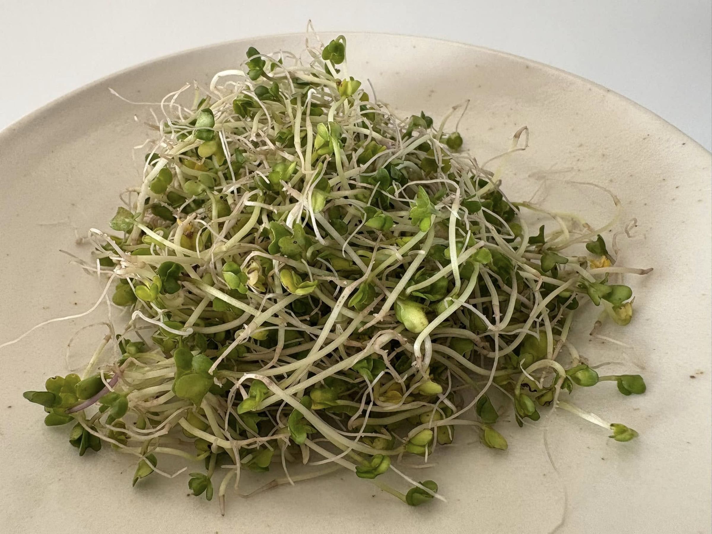 醫師李思賢分享病患連續吃了4週花椰菜芽苗,不僅肝指數明顯下降,其膽固醇、三酸甘油脂、血糖、空腹胰島素和尿酸皆有所改善。(翻攝自「思思醫師,陪你健康的好朋友」臉書粉專)