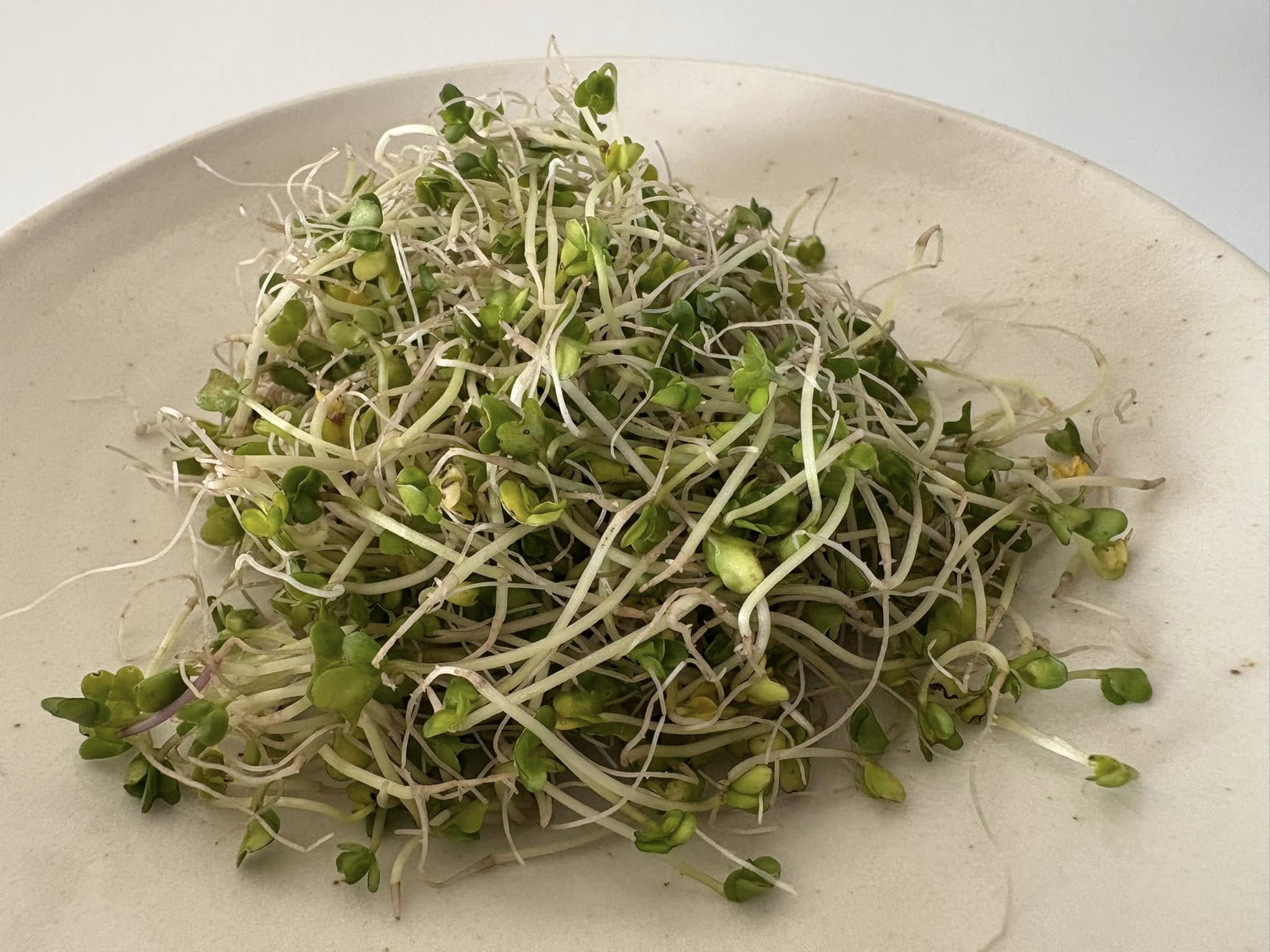 醫師李思賢分享病患連續吃了4週花椰菜芽苗,不僅肝指數明顯下降,其膽固醇、三酸甘油脂、血糖、空腹胰島素和尿酸皆有所改善。(翻攝自「思思醫師,陪你健康的好朋友」臉書粉專)