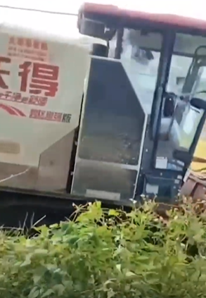 中國農村奇葩事不少。（翻自《黑料網》）