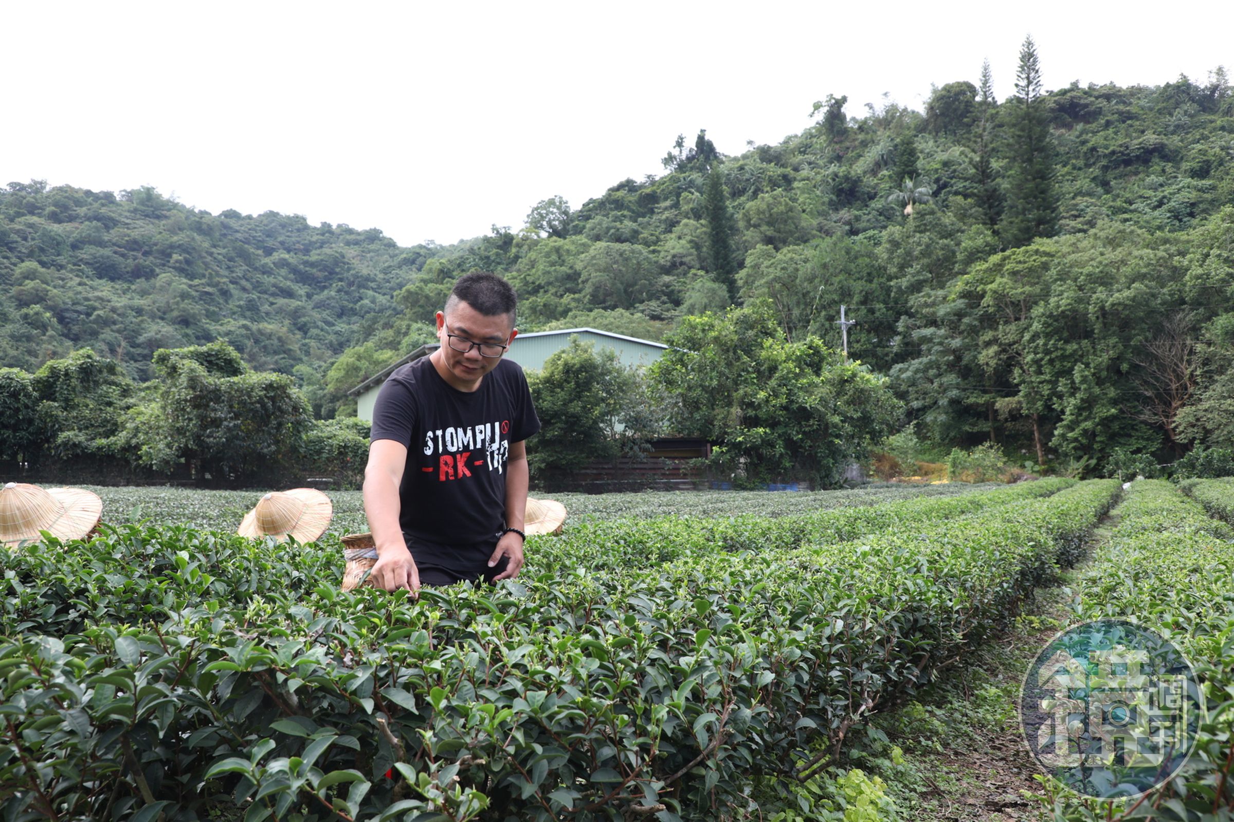 返鄉十多年的游正福從父親手中接手「正福茶園」以自然友善農法、生態保護理念製作好茶外,更嘗試任何可推廣宜蘭茶的方法。
