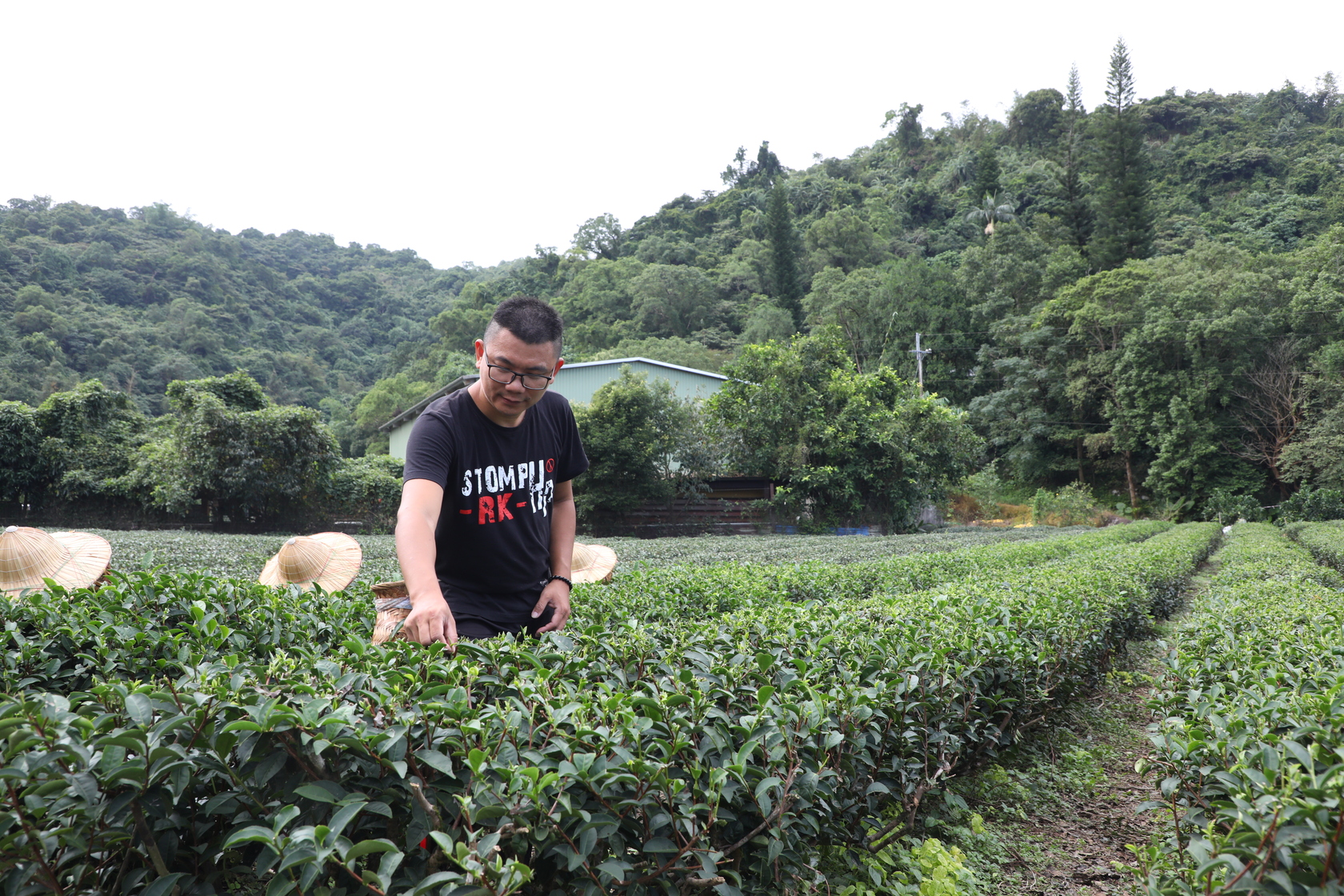返鄉十多年的游正福從父親手中接手「正福茶園」以自然友善農法、生態保護理念製作好茶外，更嘗試任何可推廣宜蘭茶的方法。