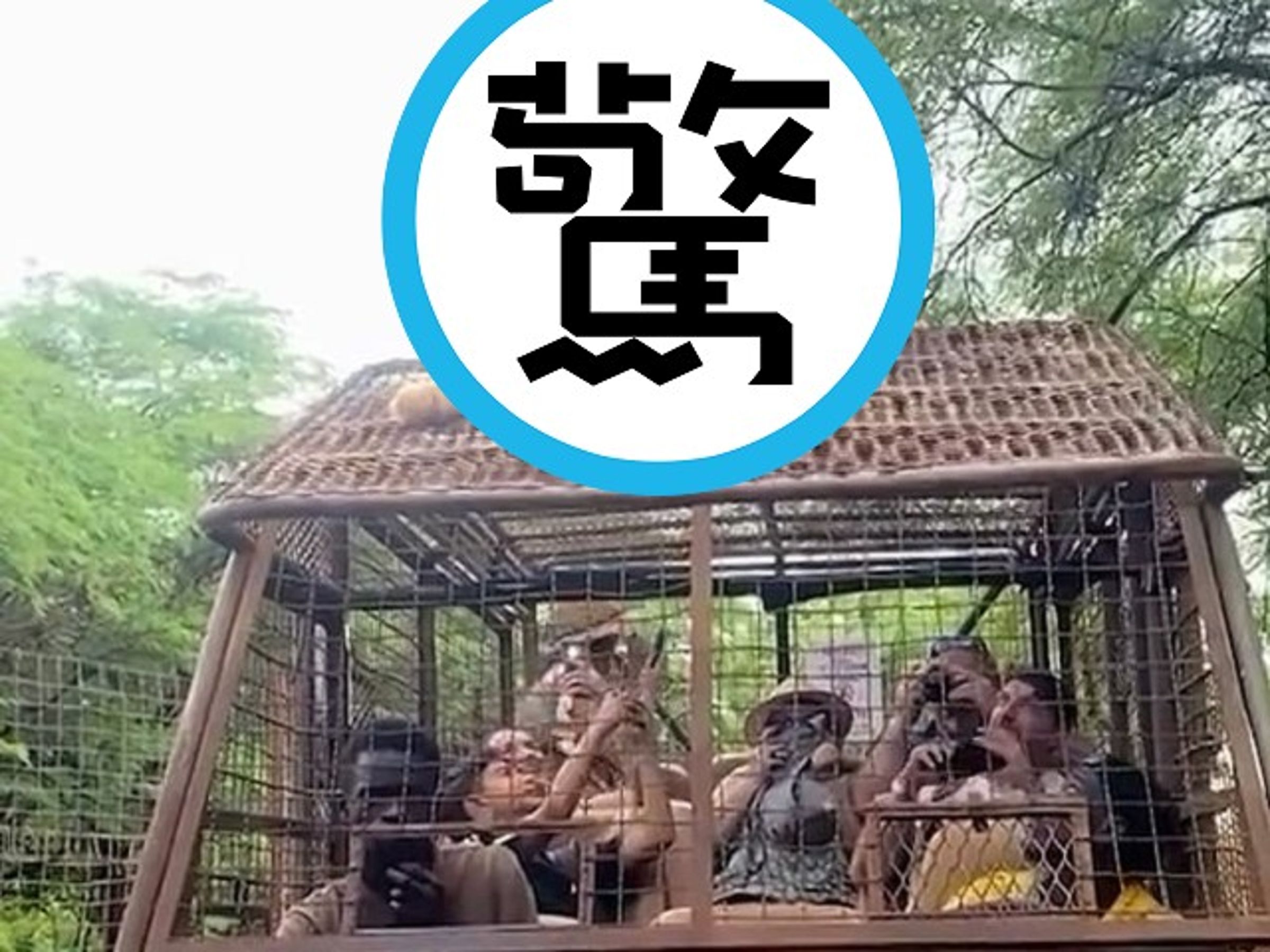 另類18禁情侶!衝上遊覽車頂車震,車內遊客超興奮瘋狂拍。(翻自《每日郵報》)