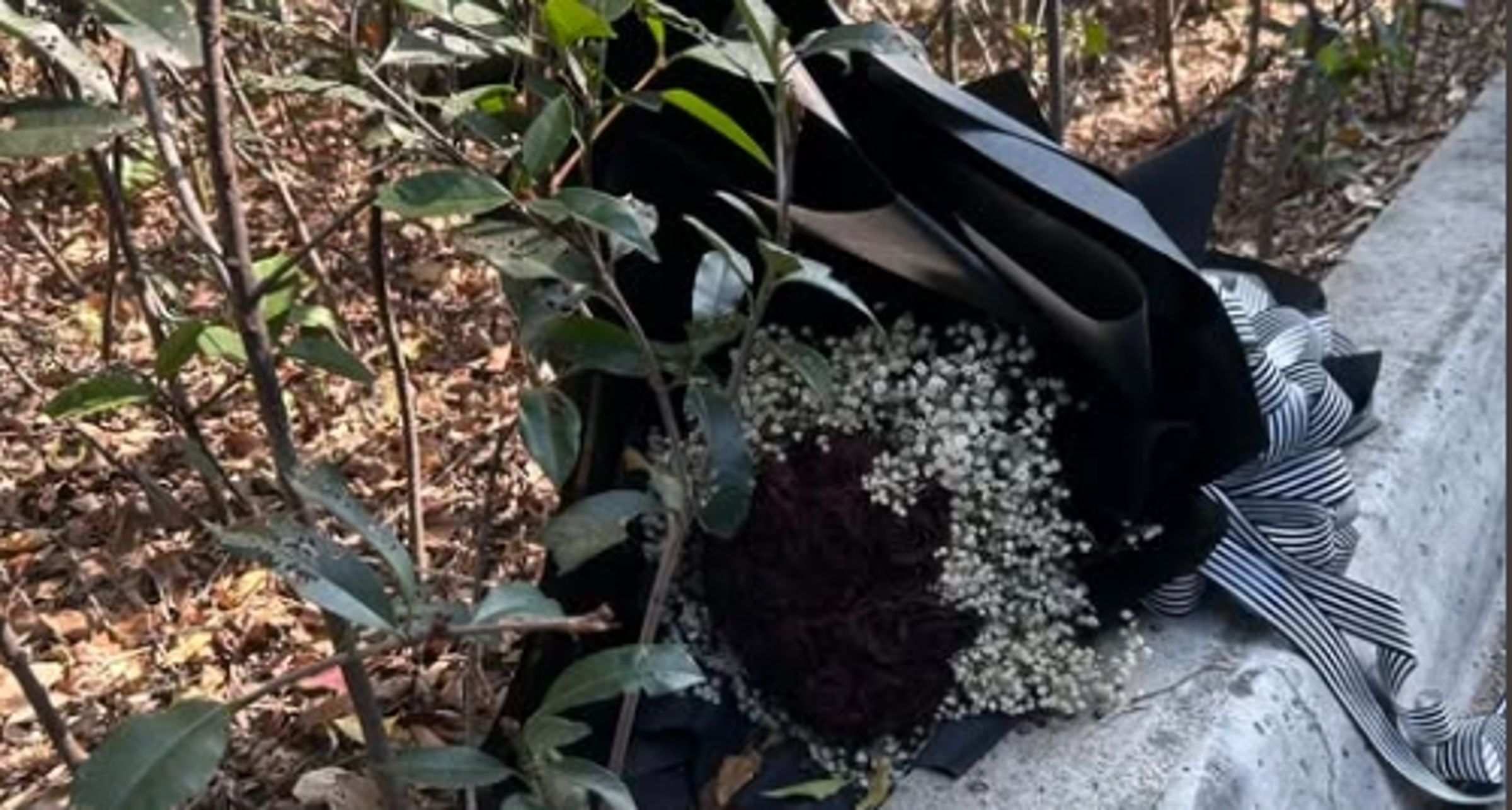 一束包裝浪漫精緻的黑色玫瑰花配上滿天星點綴，卻被遺棄在公園路旁的草叢中。（翻攝自臉書 @路上觀察學院）