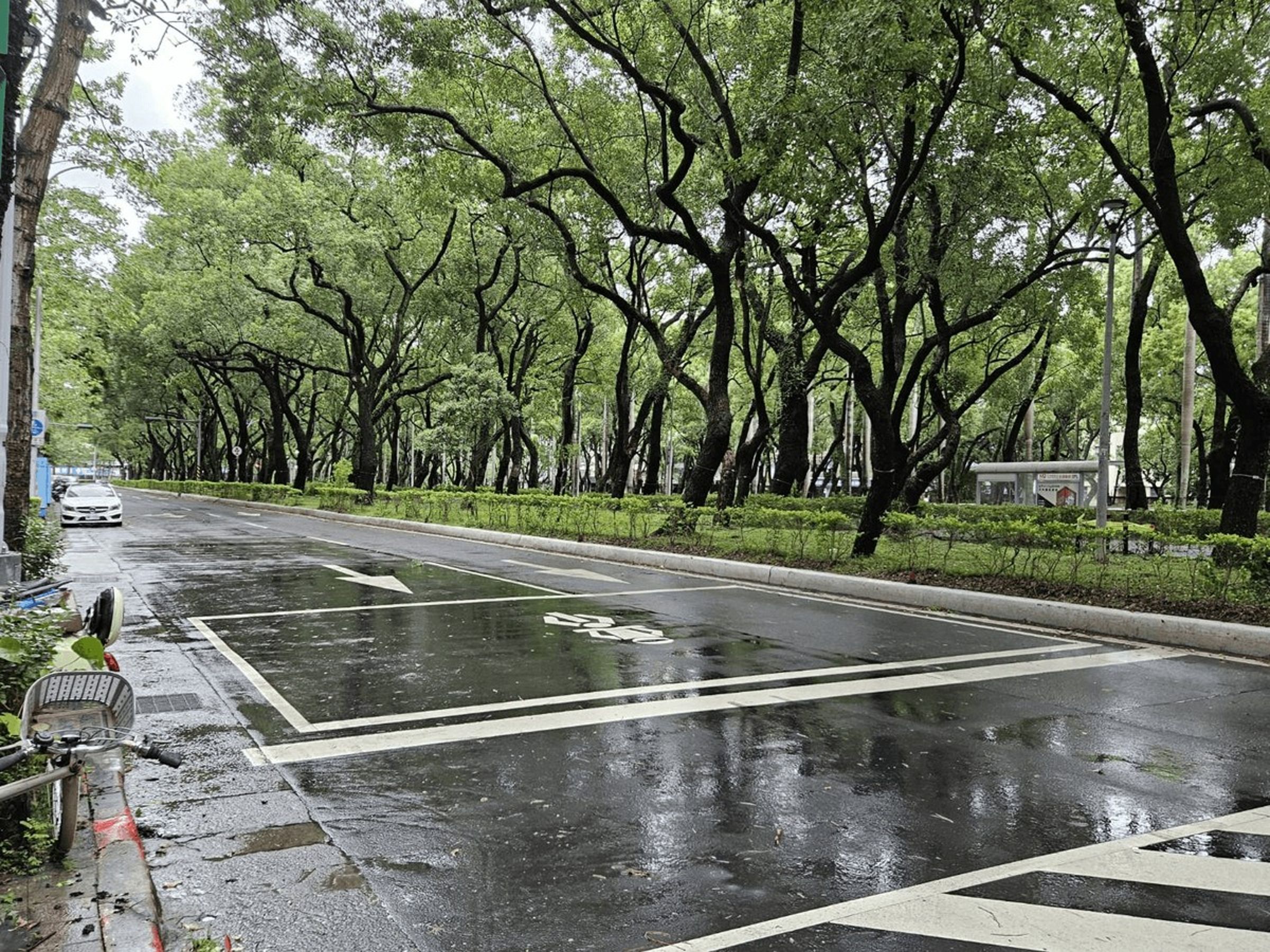 北市府昨po出照片澄清，仁愛路沒有樹木傾倒蓋滿地面狀況。（公園處提供）
