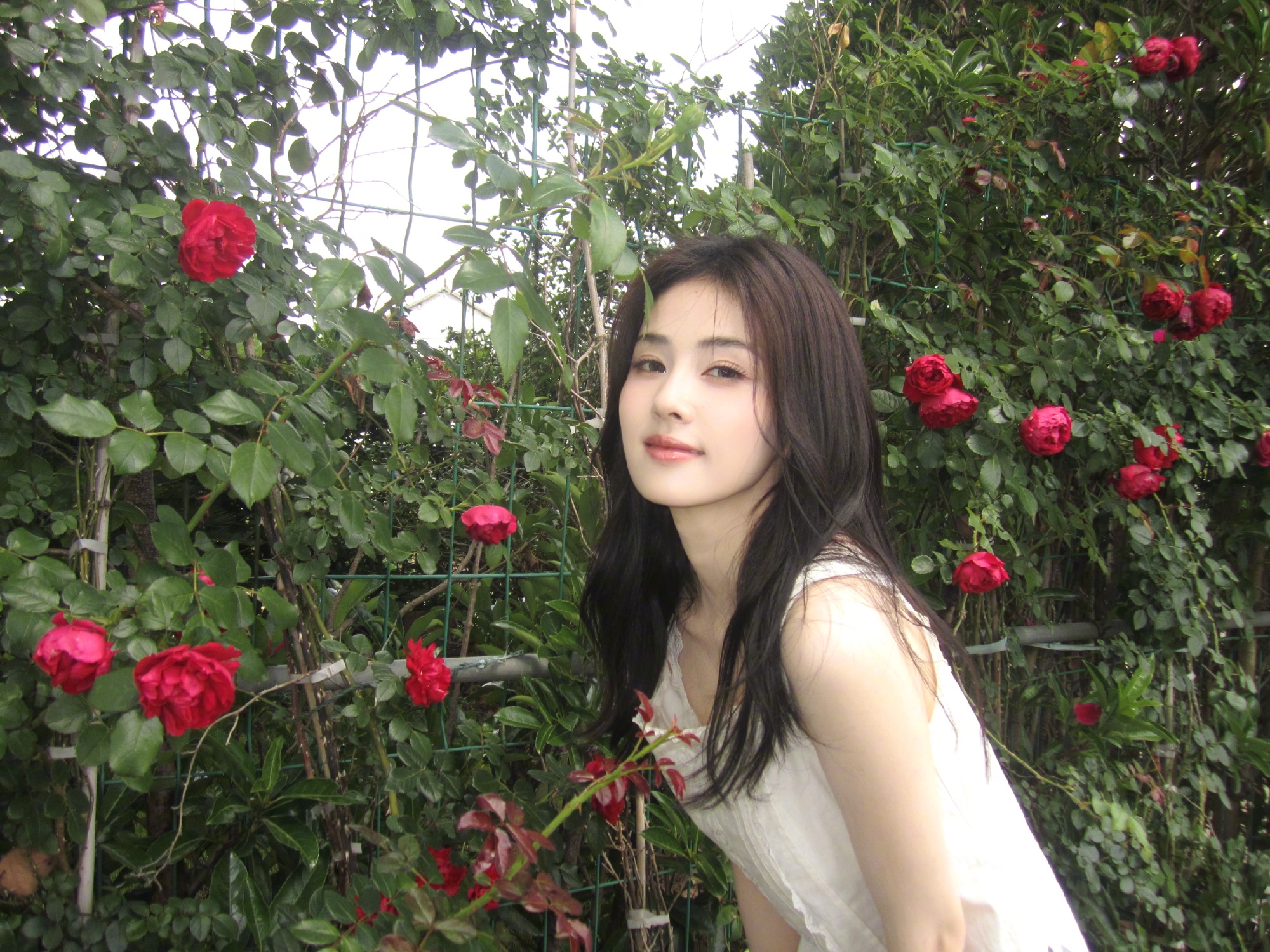 中國女星白鹿廣受粉絲喜愛，也出名寵粉，有私生粉凌晨4點打她的私人電話騷擾獲得接聽，並po上網炫耀。（白鹿微博）